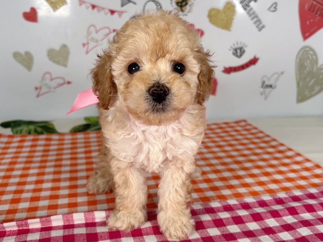 赤ちゃん写真2-1