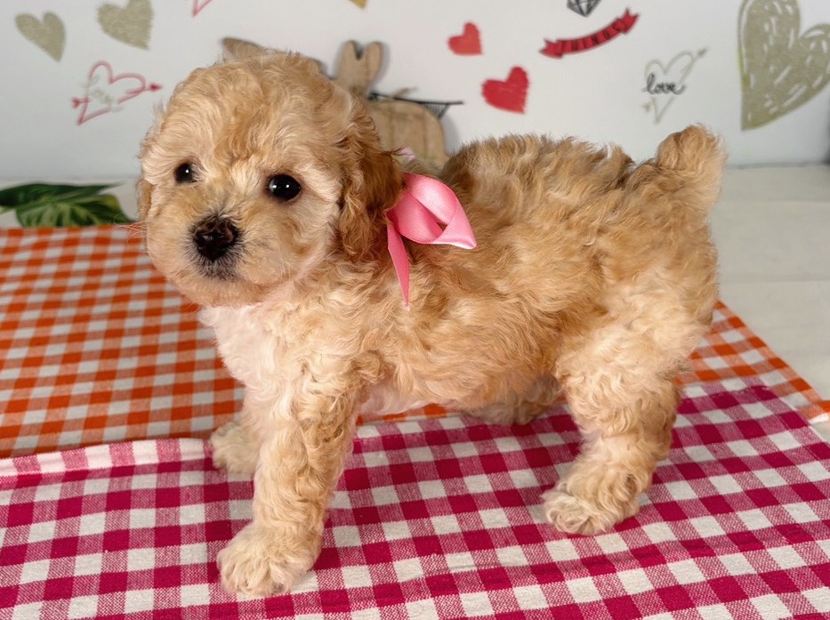 赤ちゃん写真2-2