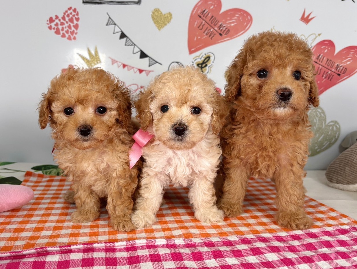 赤ちゃん写真2-3