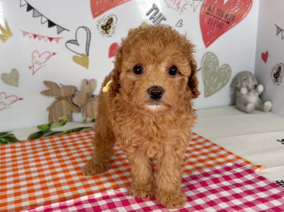 赤ちゃん写真2-1