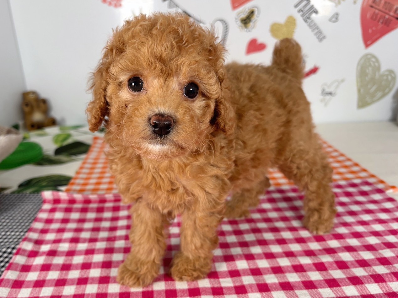 赤ちゃん写真2-2