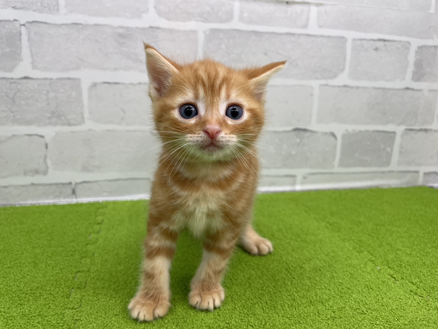 赤ちゃん写真2-1