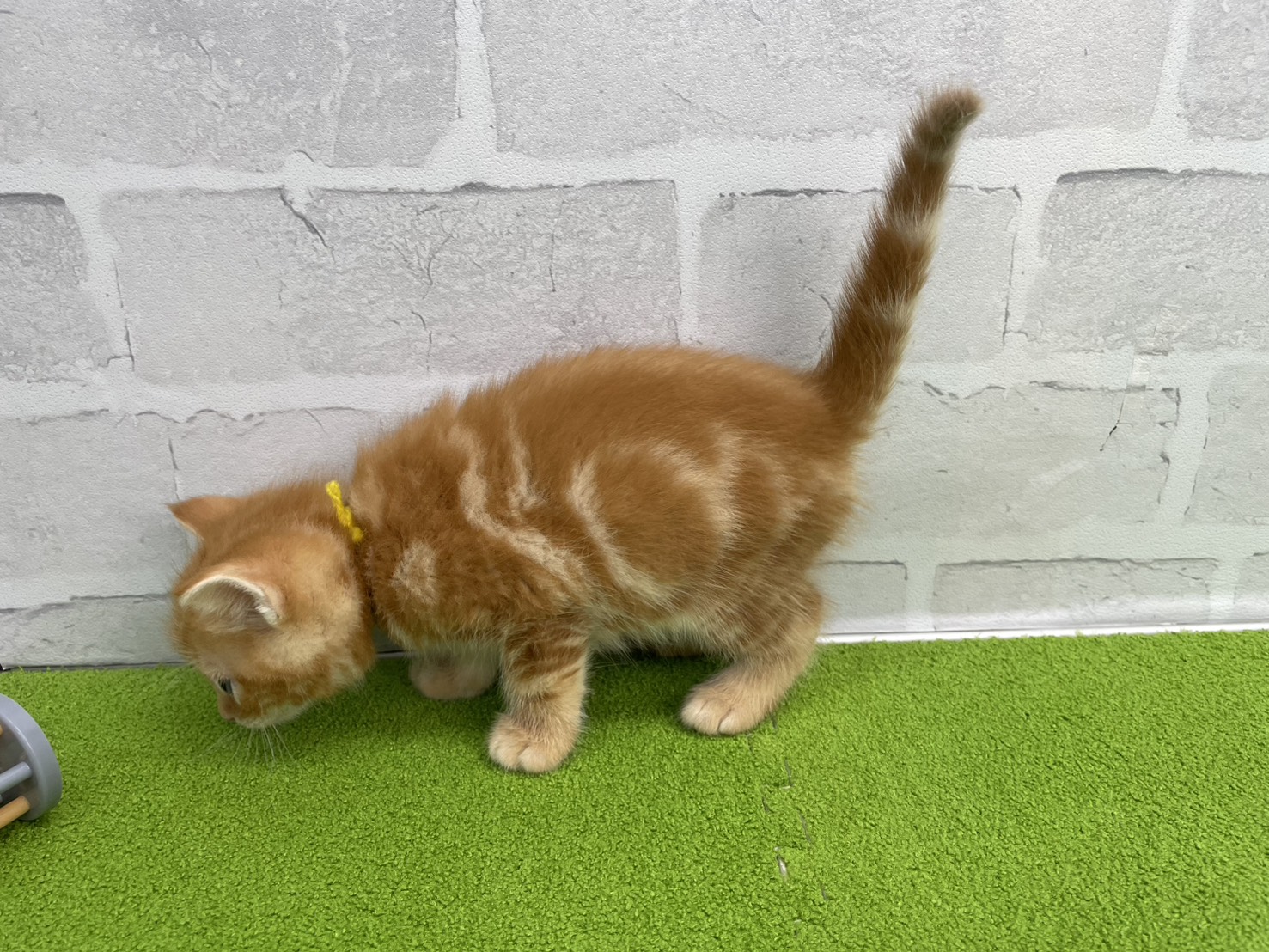 赤ちゃん写真2-2