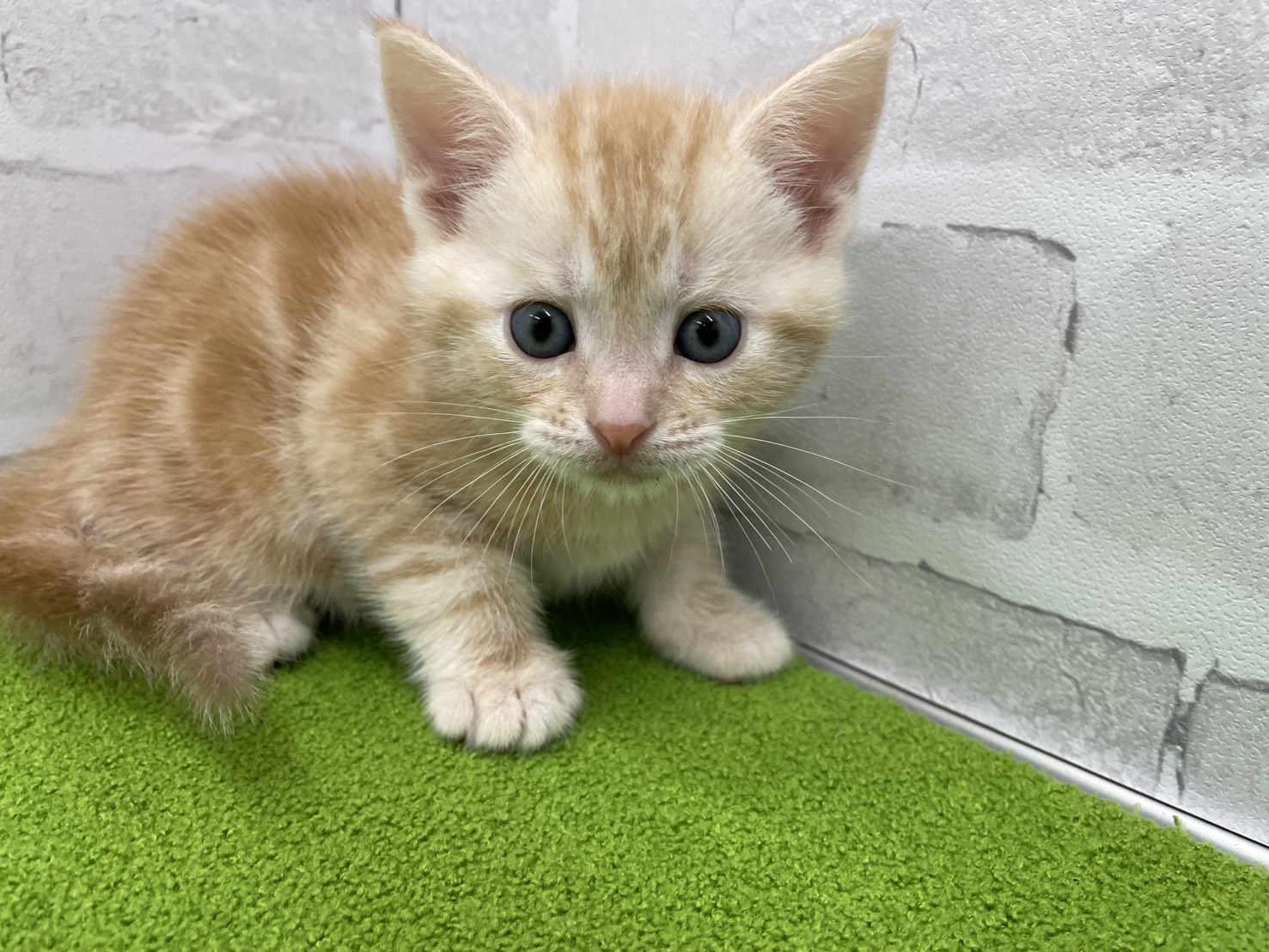 赤ちゃん写真2-1