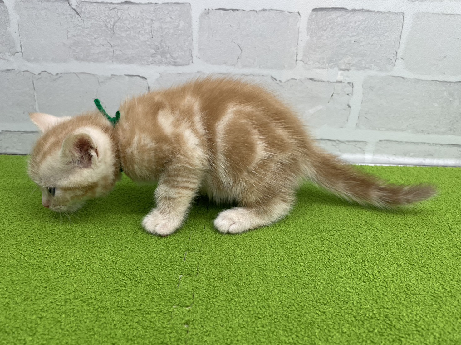 赤ちゃん写真2-2