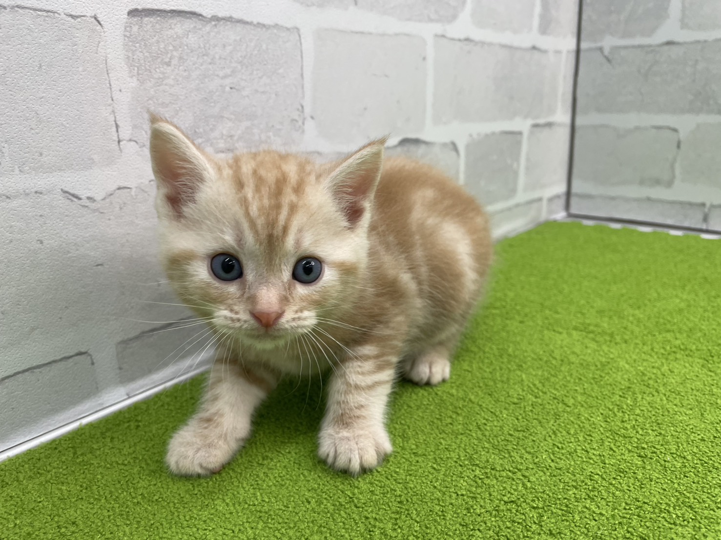 赤ちゃん写真2-1