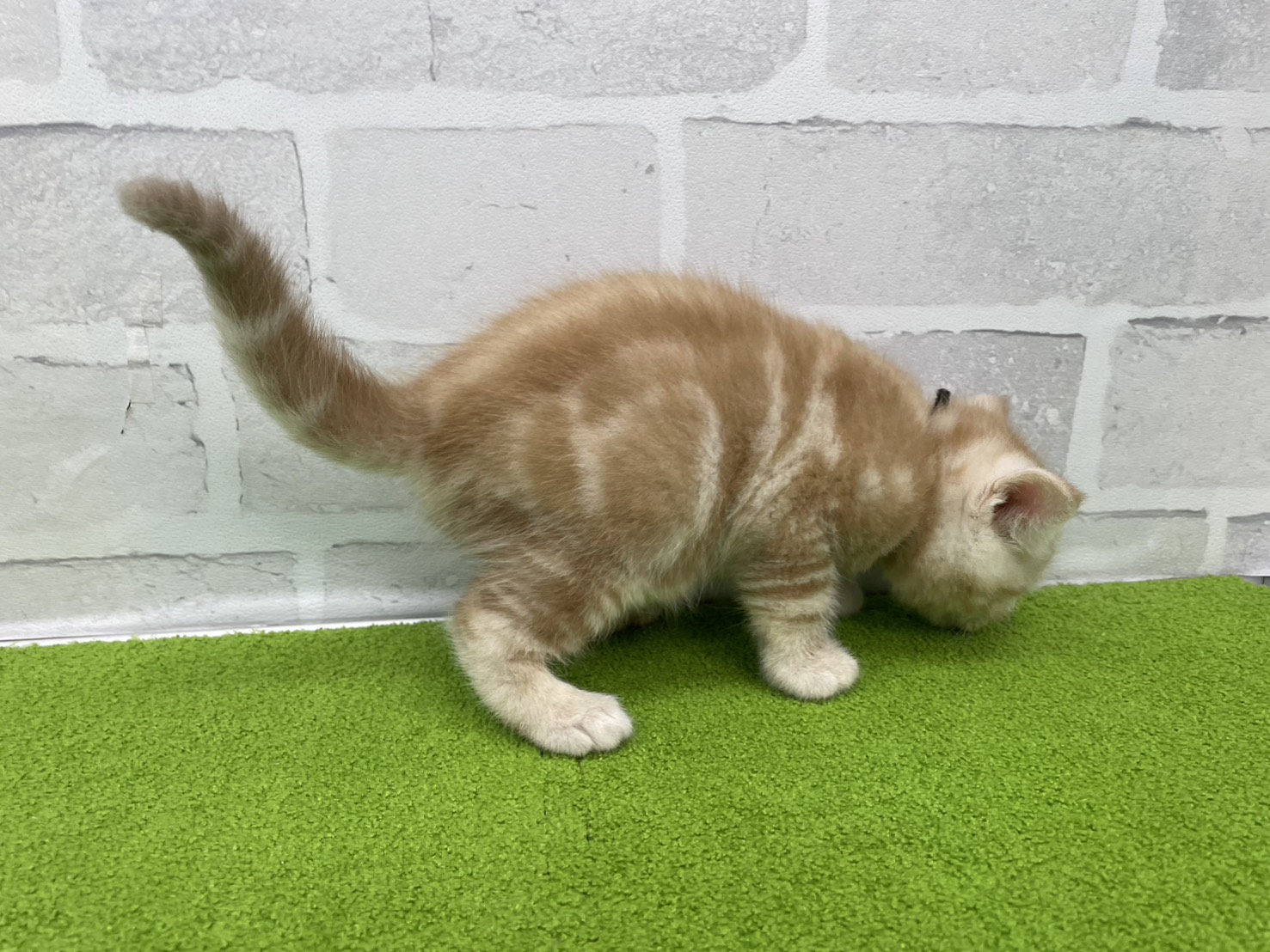 赤ちゃん写真2-2