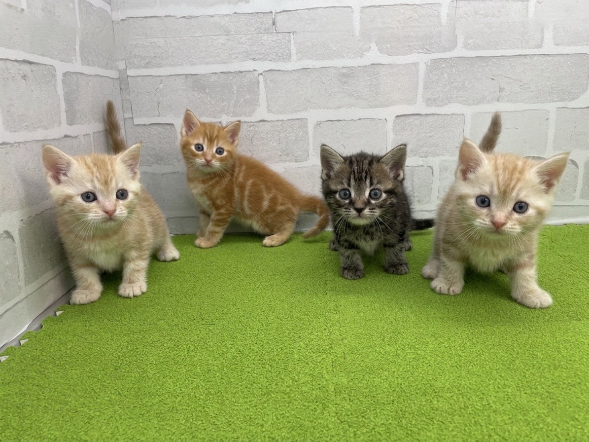 赤ちゃん写真2-3