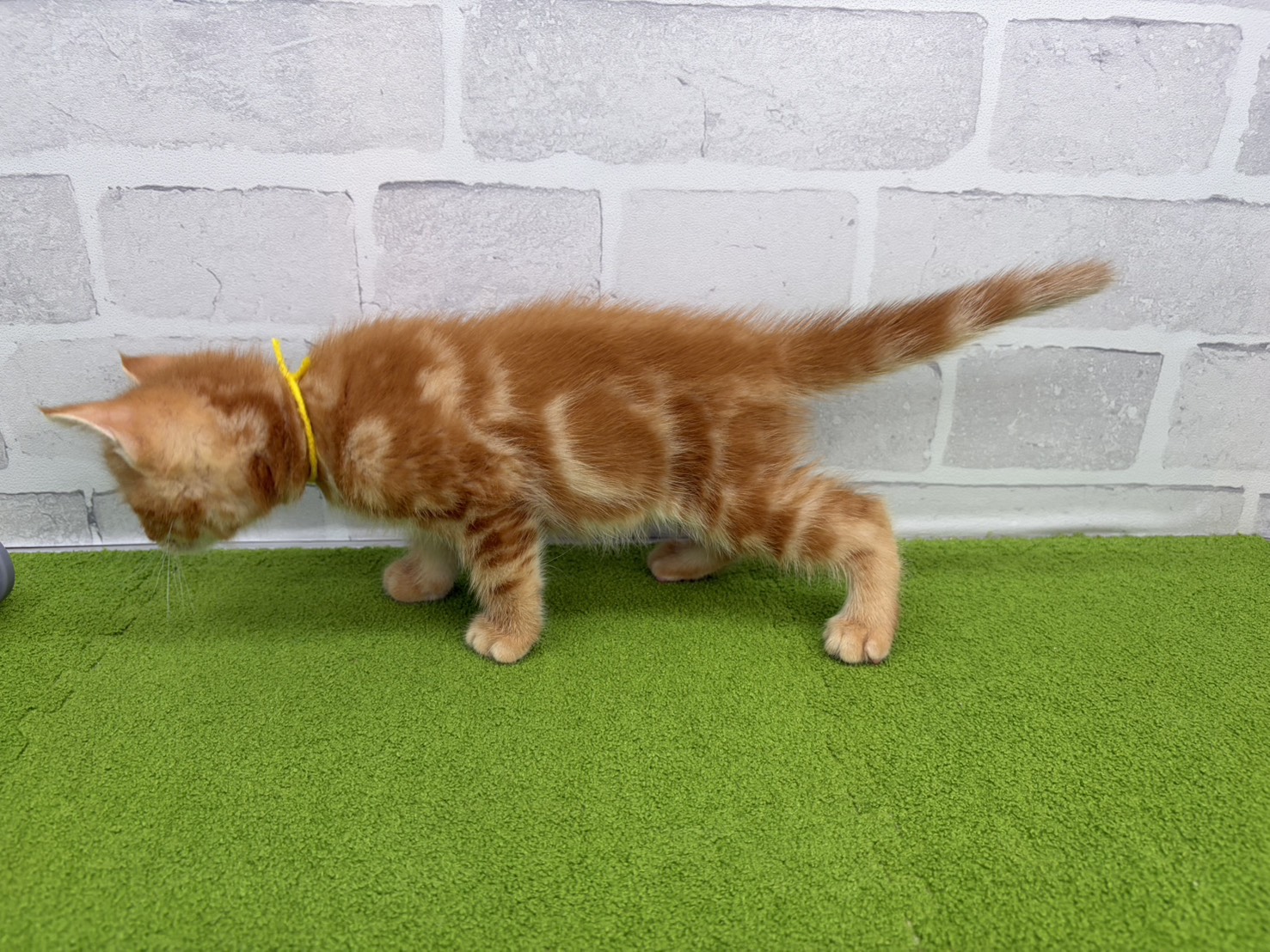 赤ちゃん写真3-2