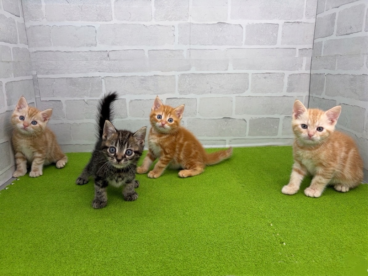 赤ちゃん写真3-3