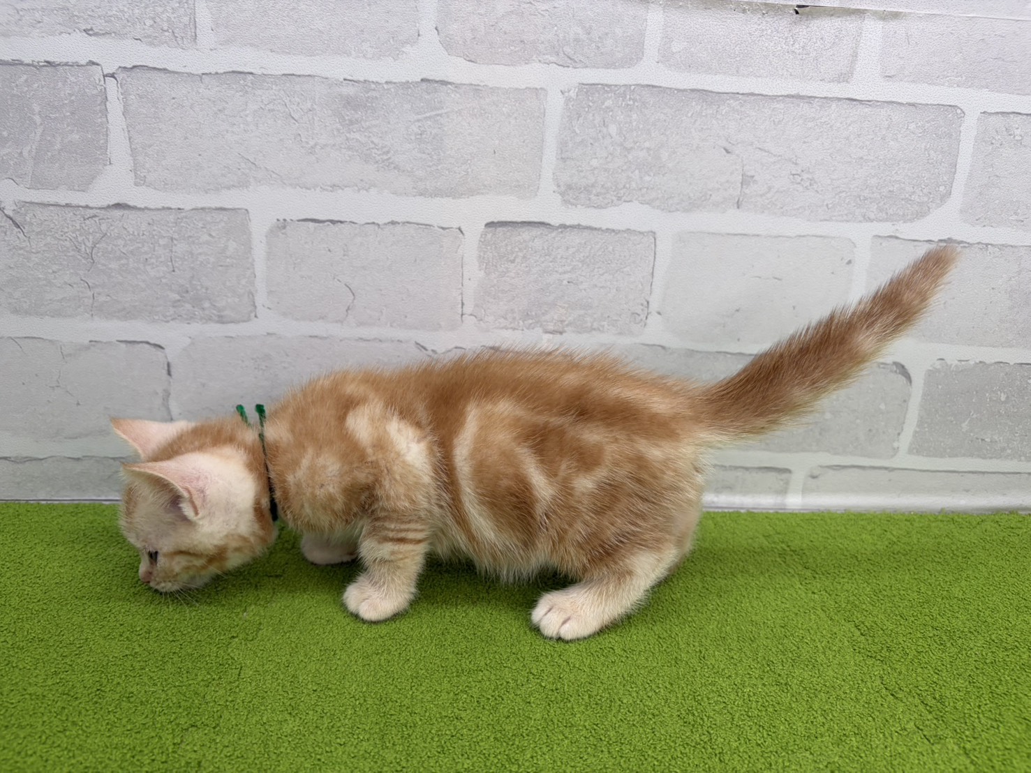 赤ちゃん写真3-2