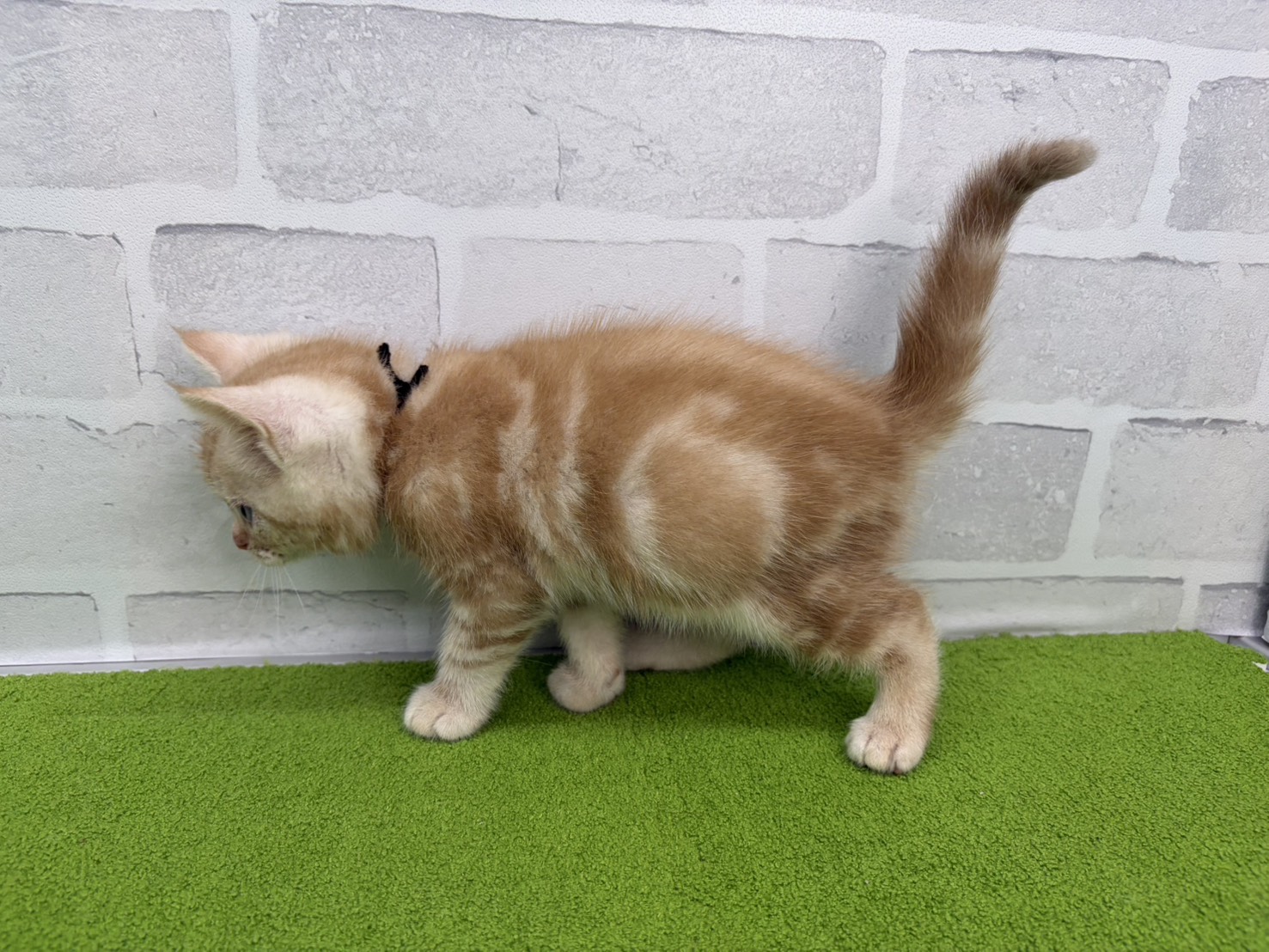 赤ちゃん写真3-2