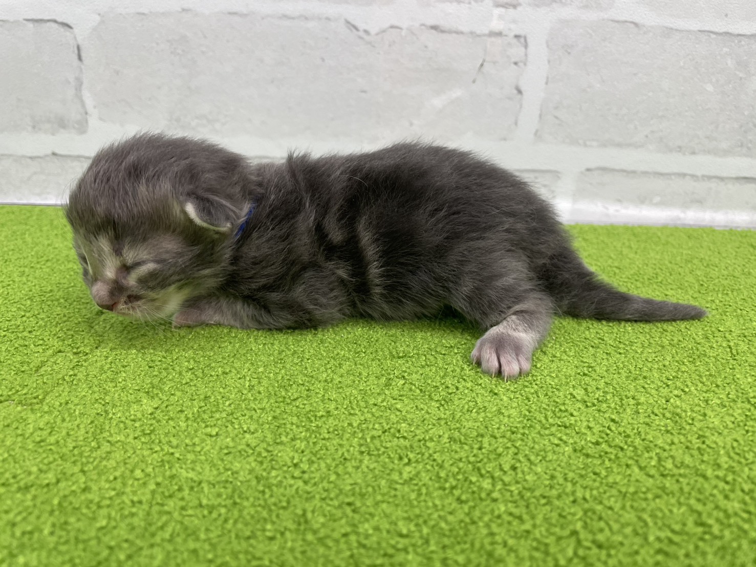 赤ちゃん写真1-2