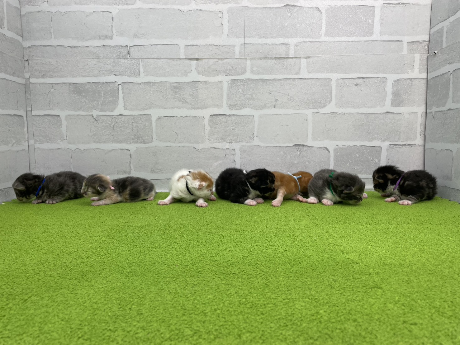 赤ちゃん写真1-3