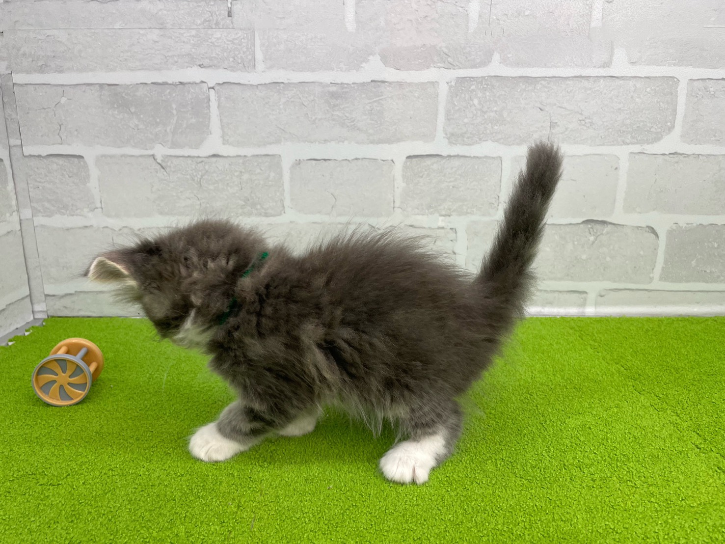 赤ちゃん写真2-2