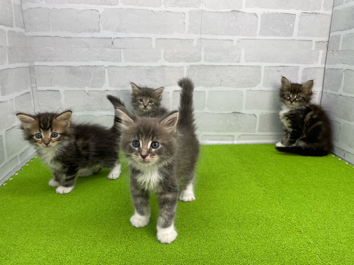 赤ちゃん写真2-3