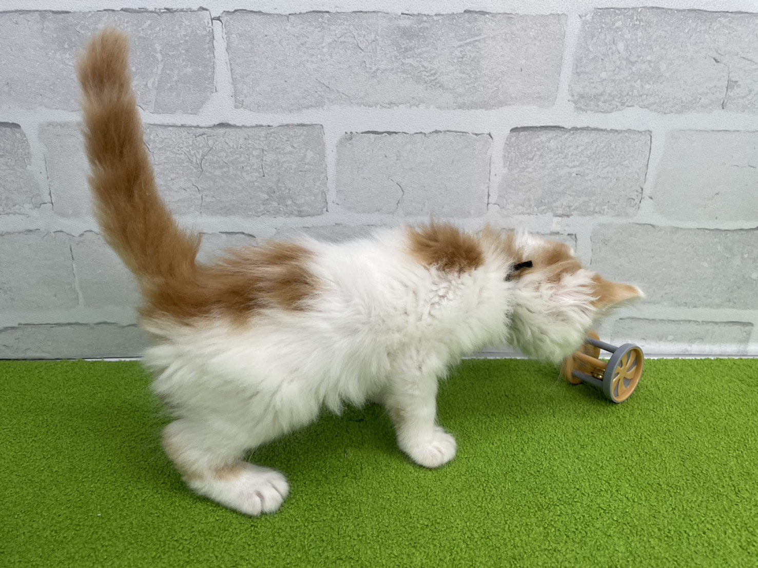 赤ちゃん写真2-2