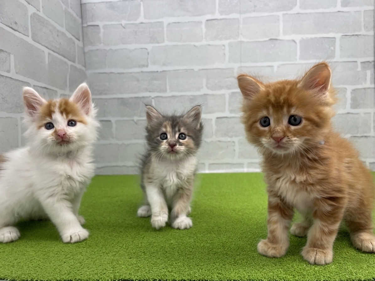 赤ちゃん写真2-3