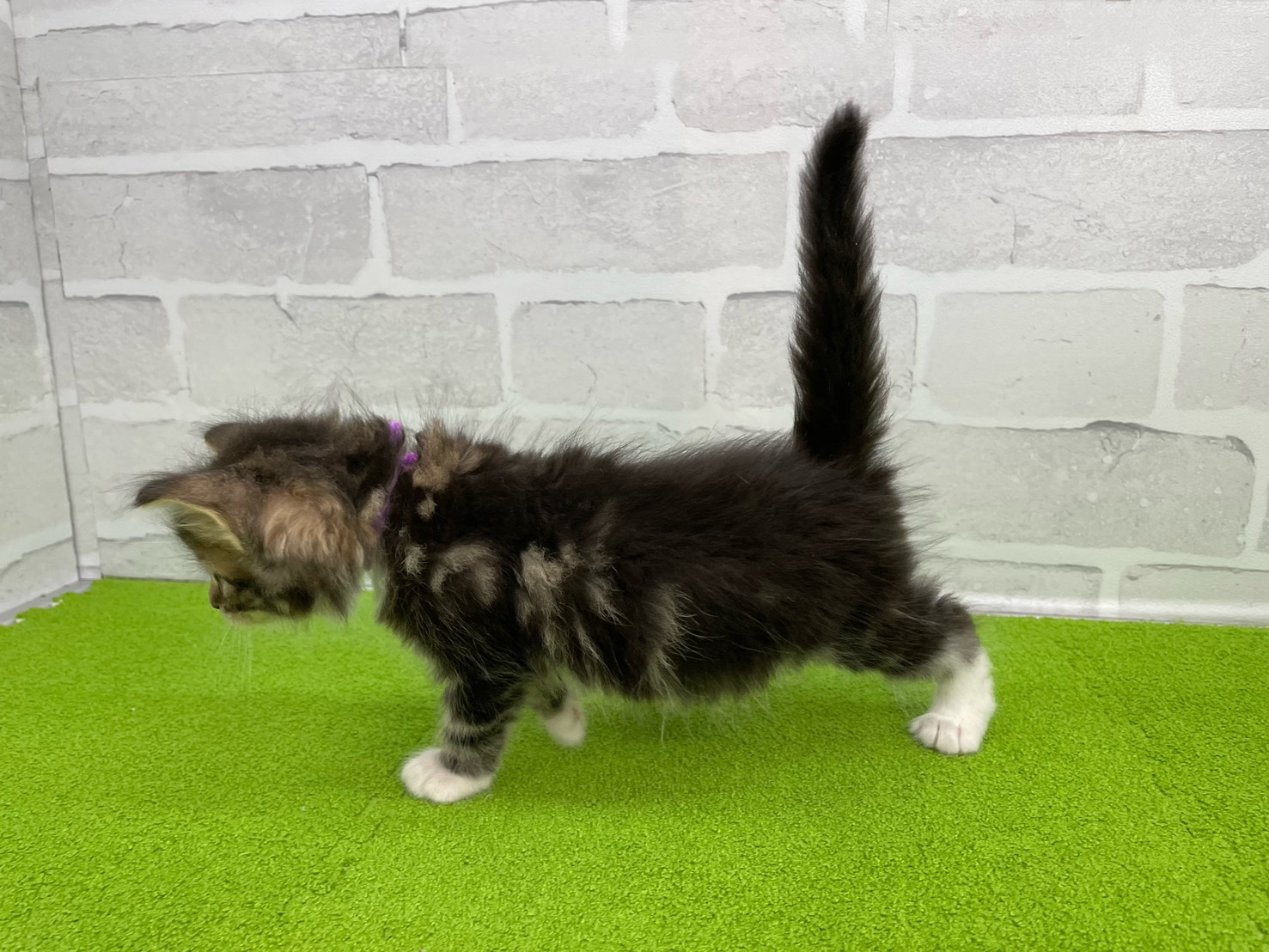 赤ちゃん写真2-2