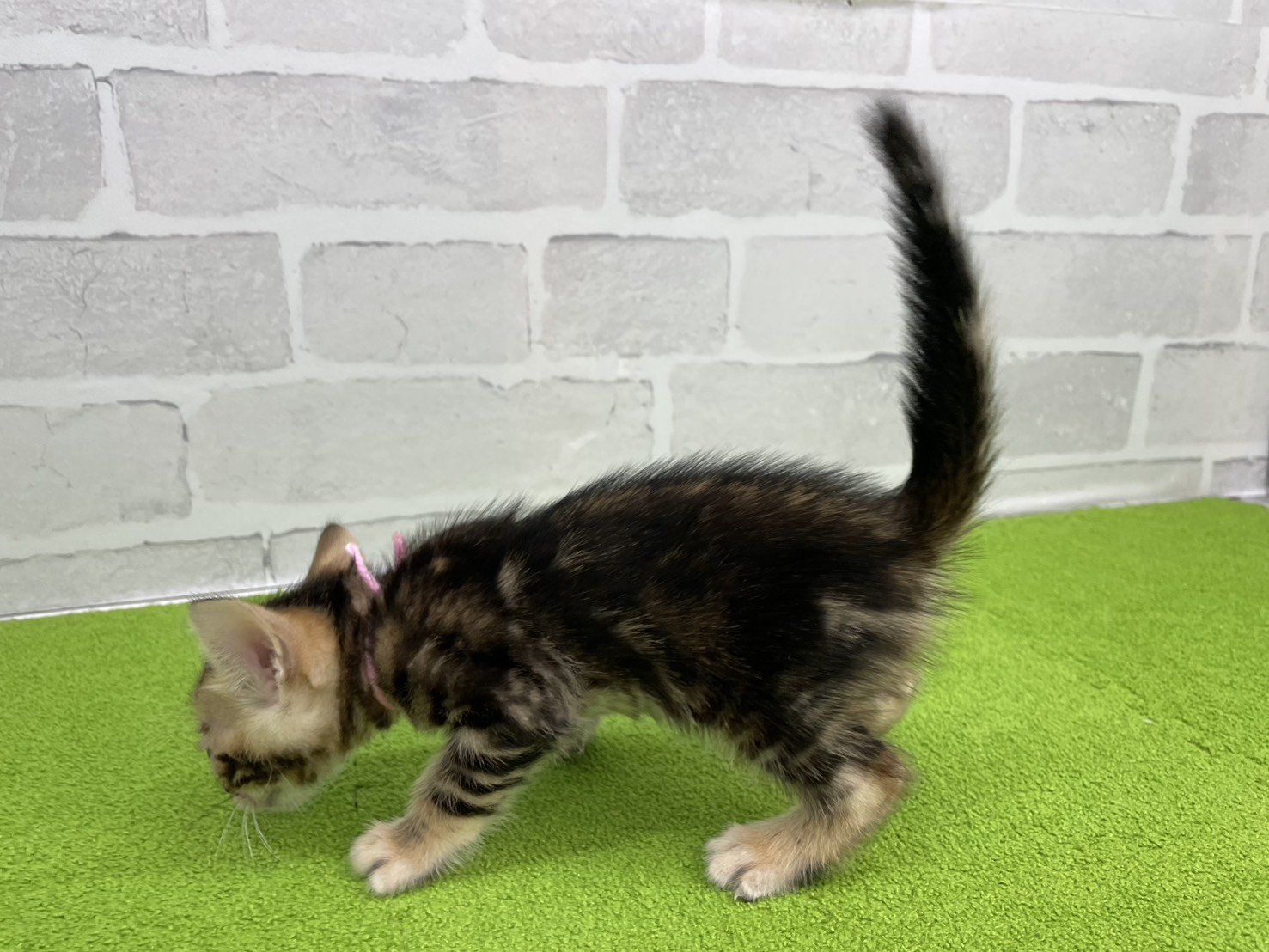 赤ちゃん写真2-2