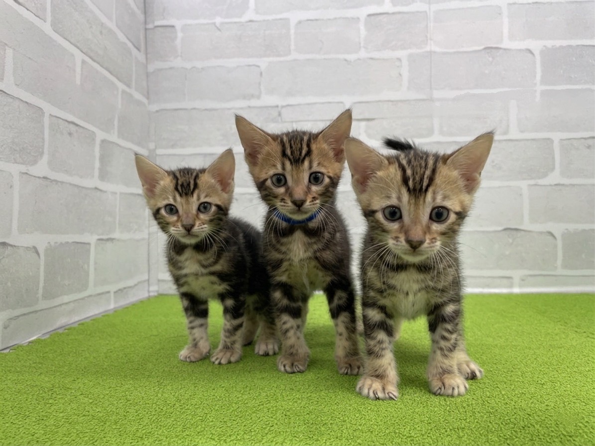 赤ちゃん写真2-3