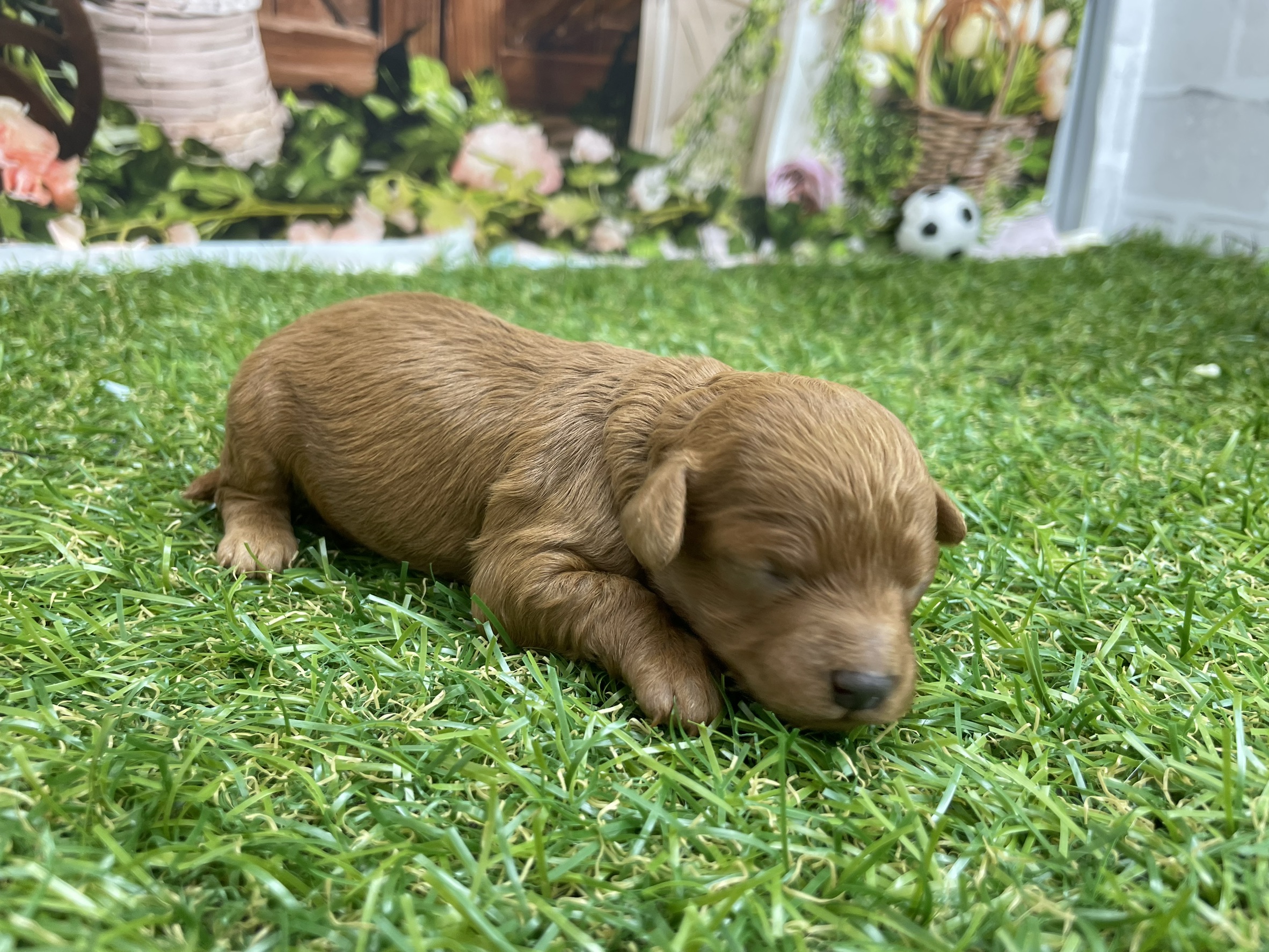 赤ちゃん写真1-1