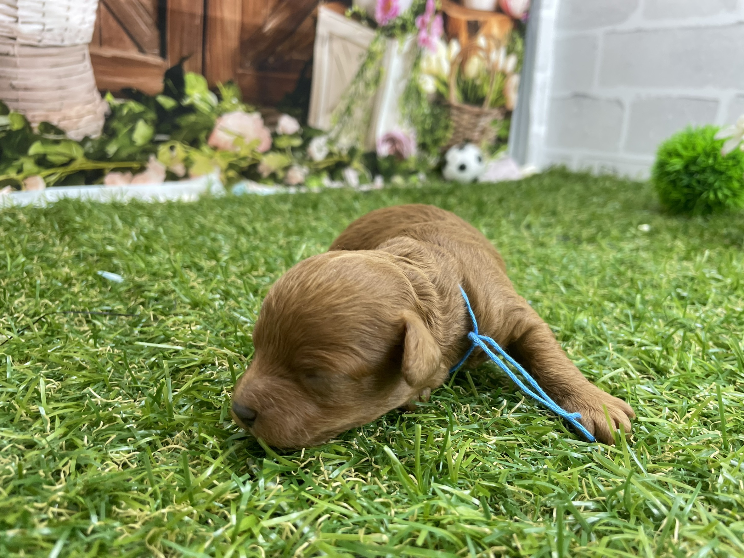 赤ちゃん写真1-2