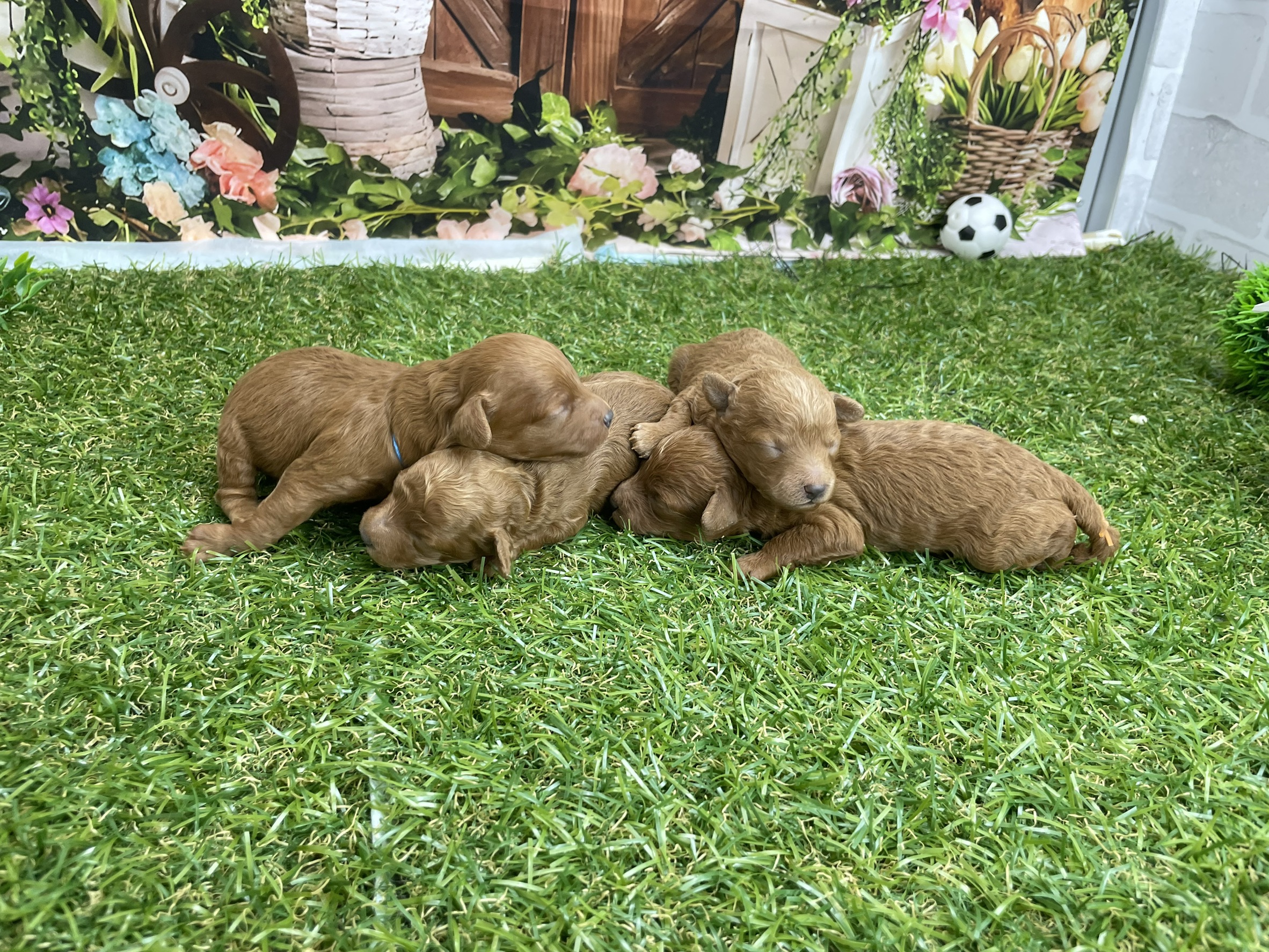 赤ちゃん写真1-3