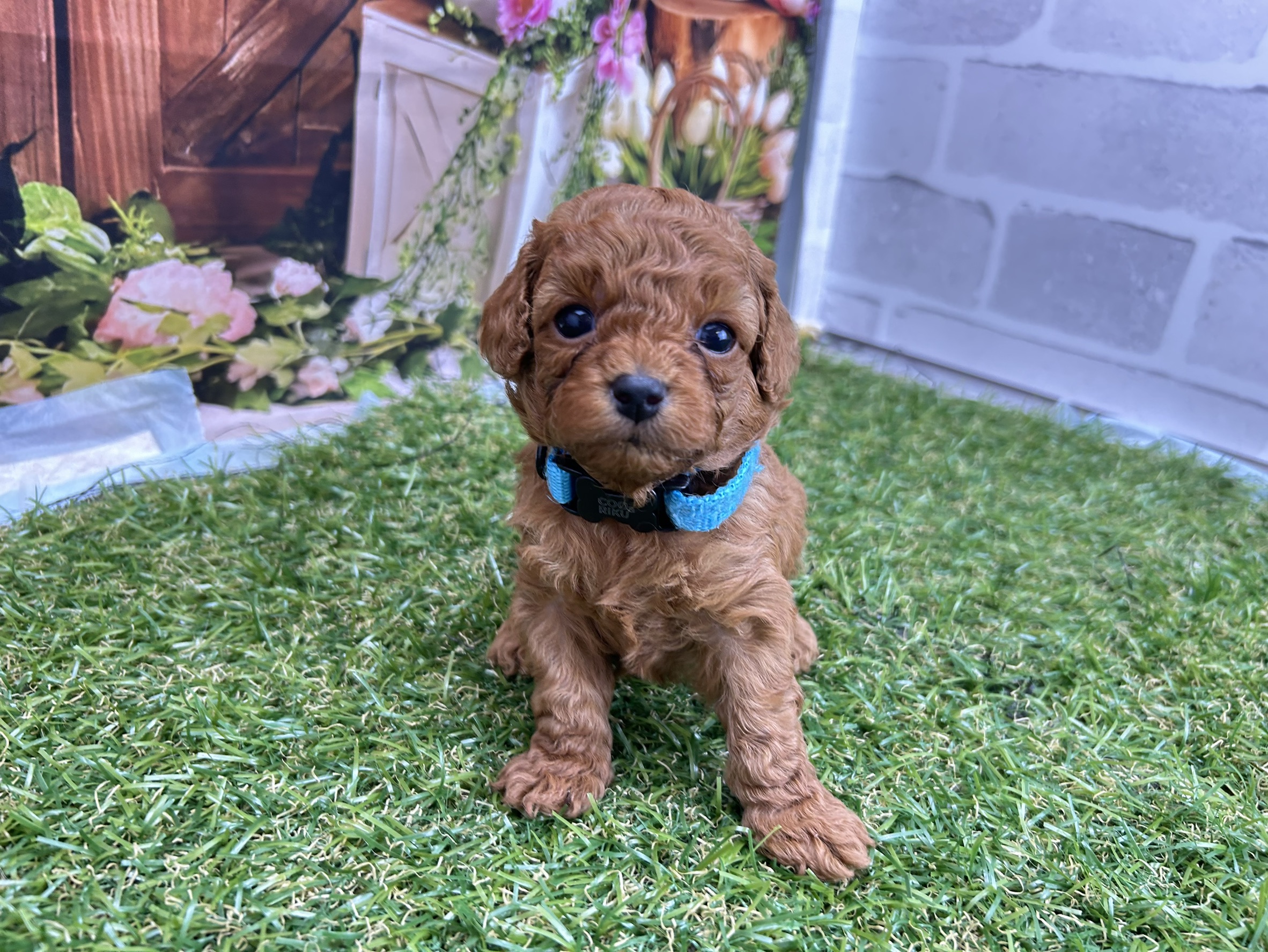 赤ちゃん写真2-1