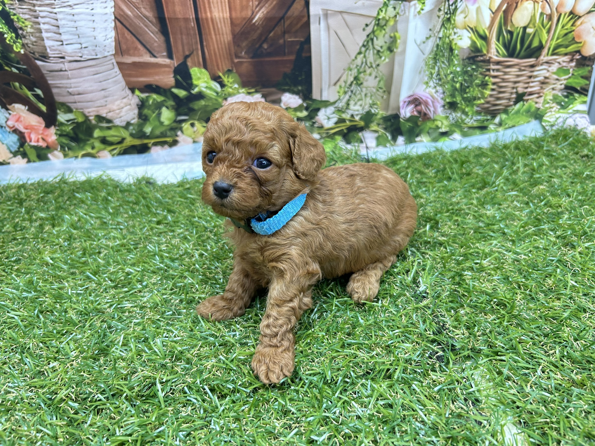 赤ちゃん写真2-2