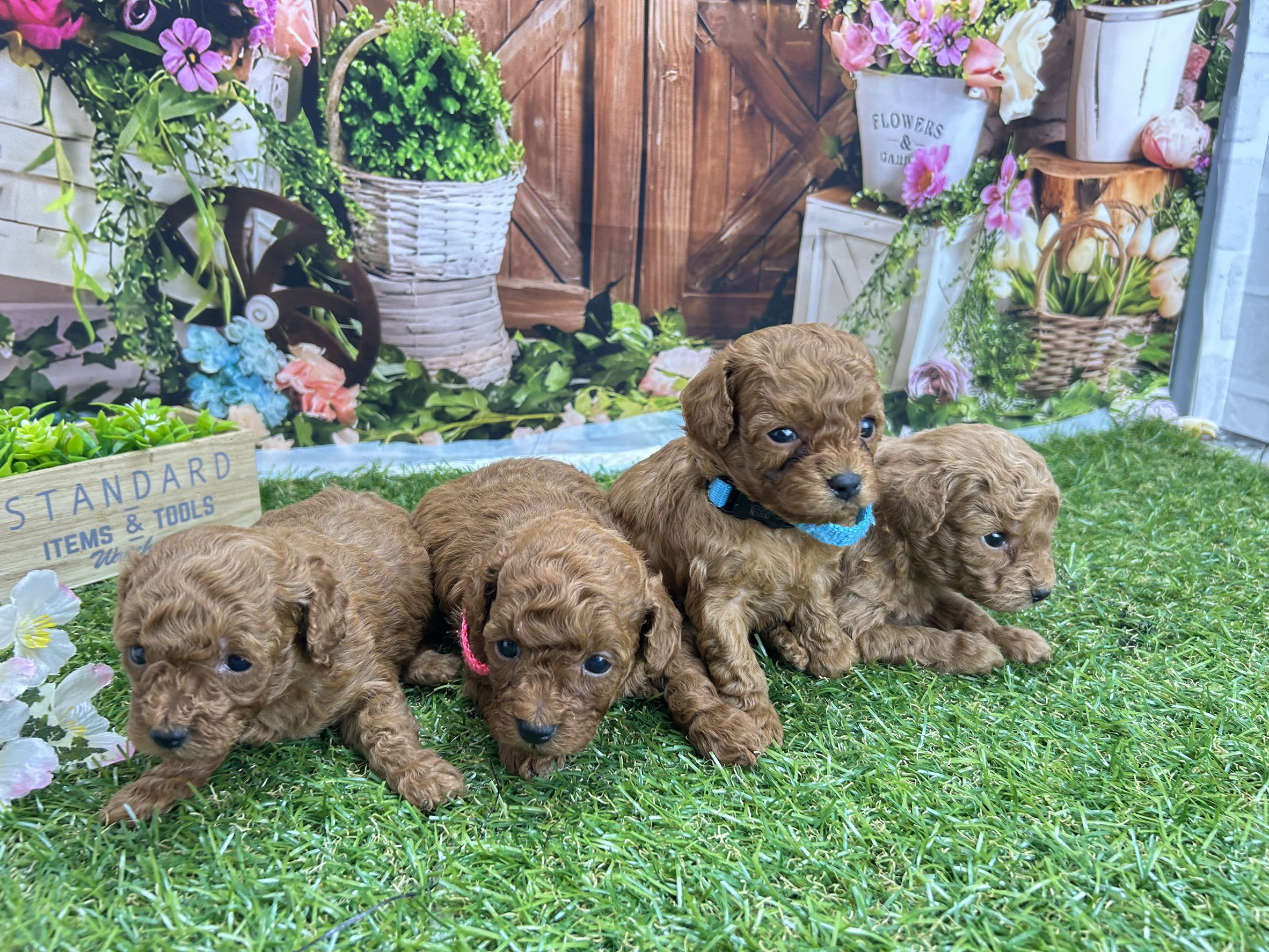 赤ちゃん写真2-3