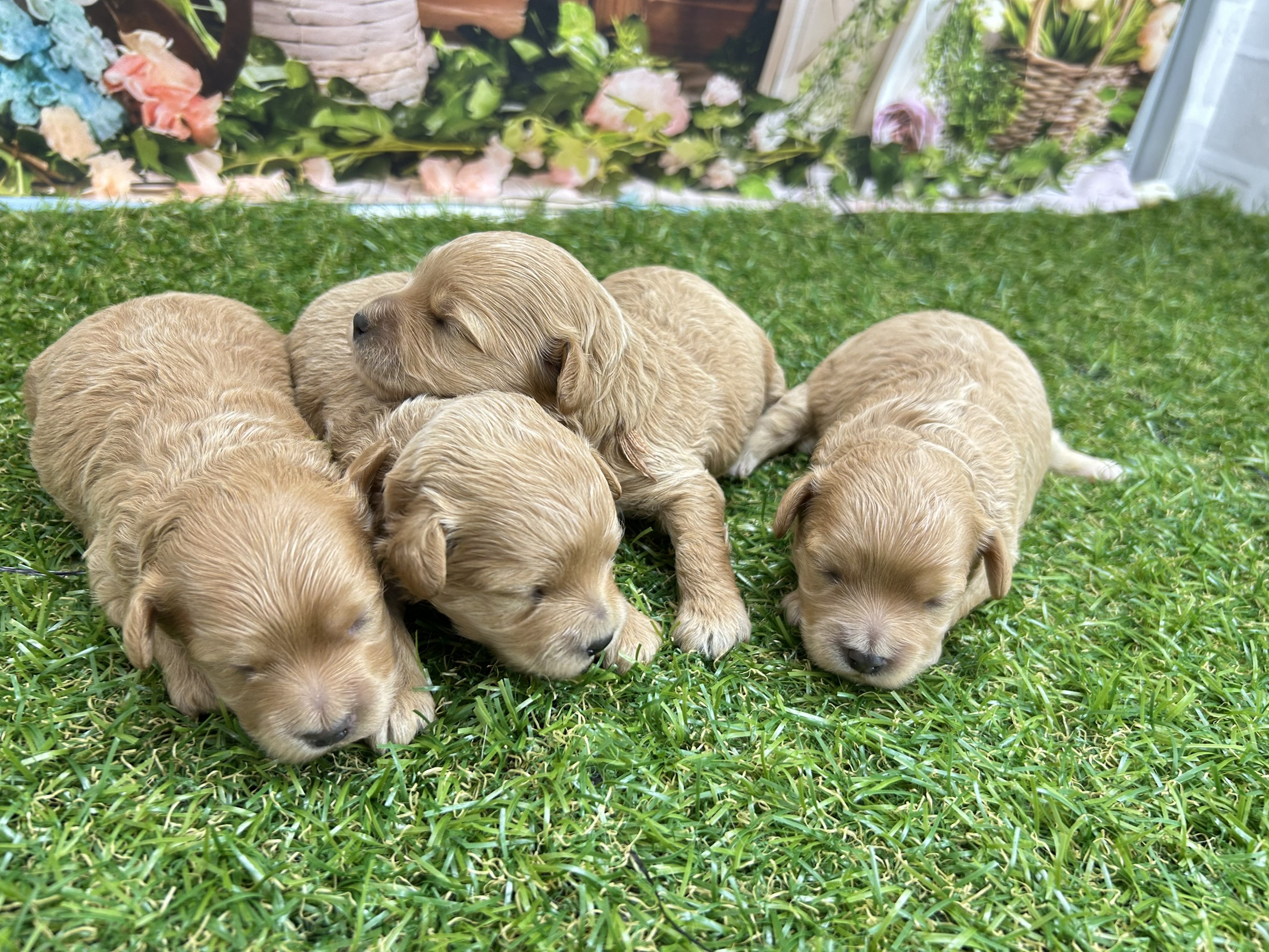 赤ちゃん写真1-3