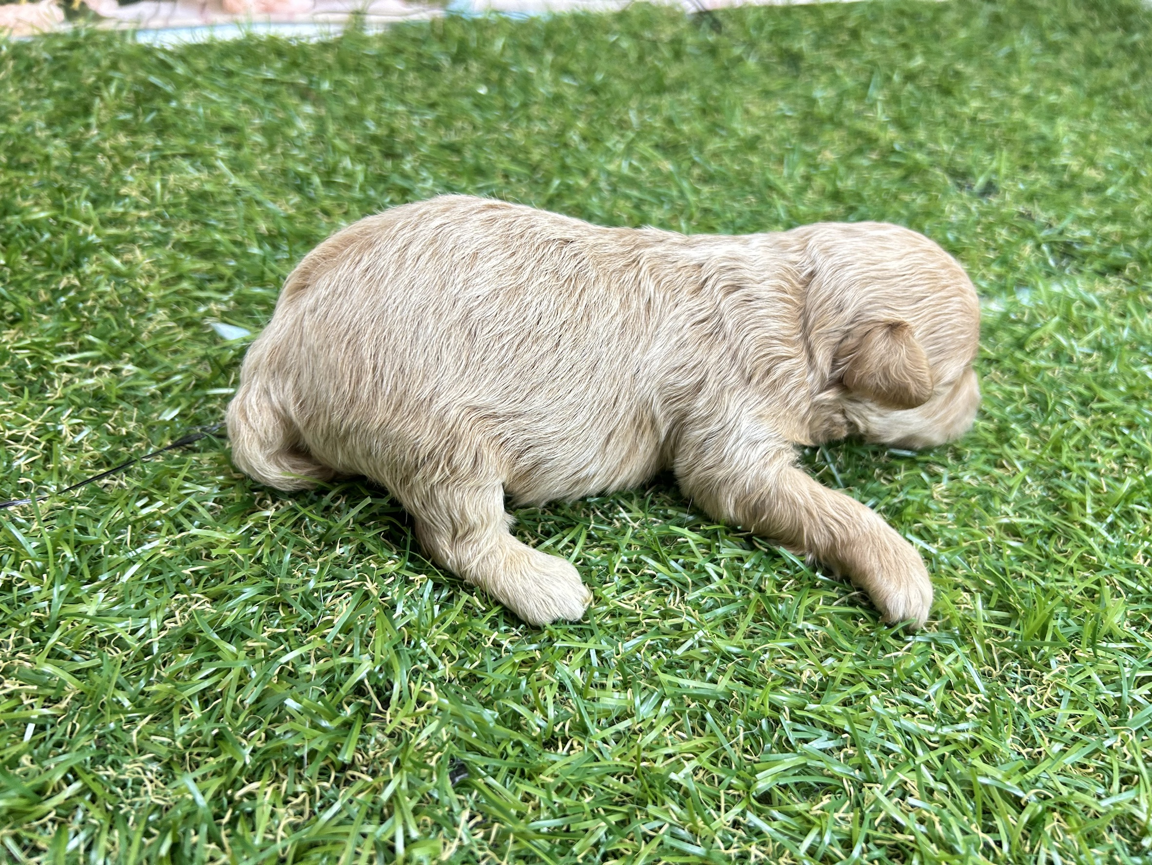 赤ちゃん写真1-2