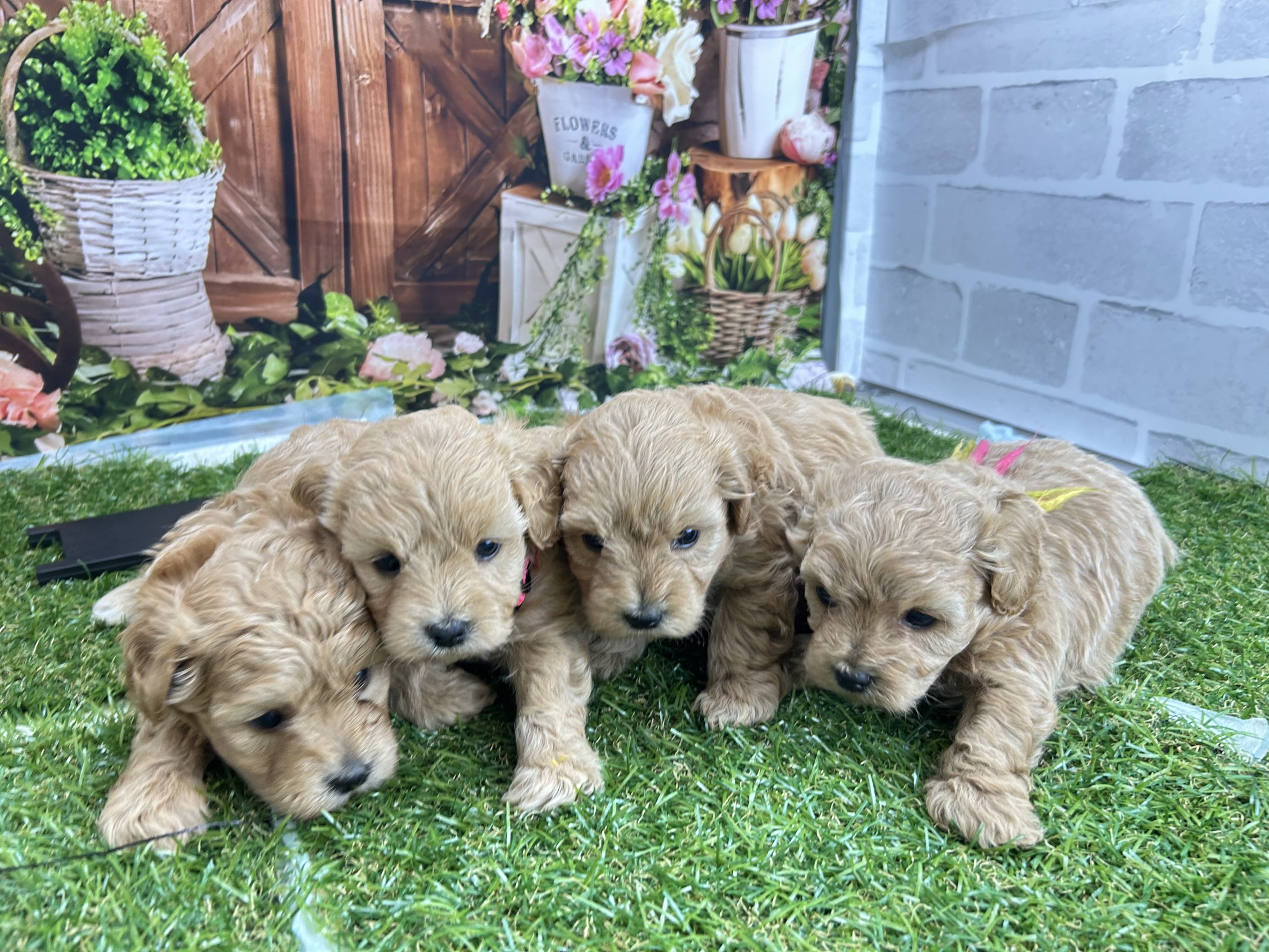 赤ちゃん写真2-3