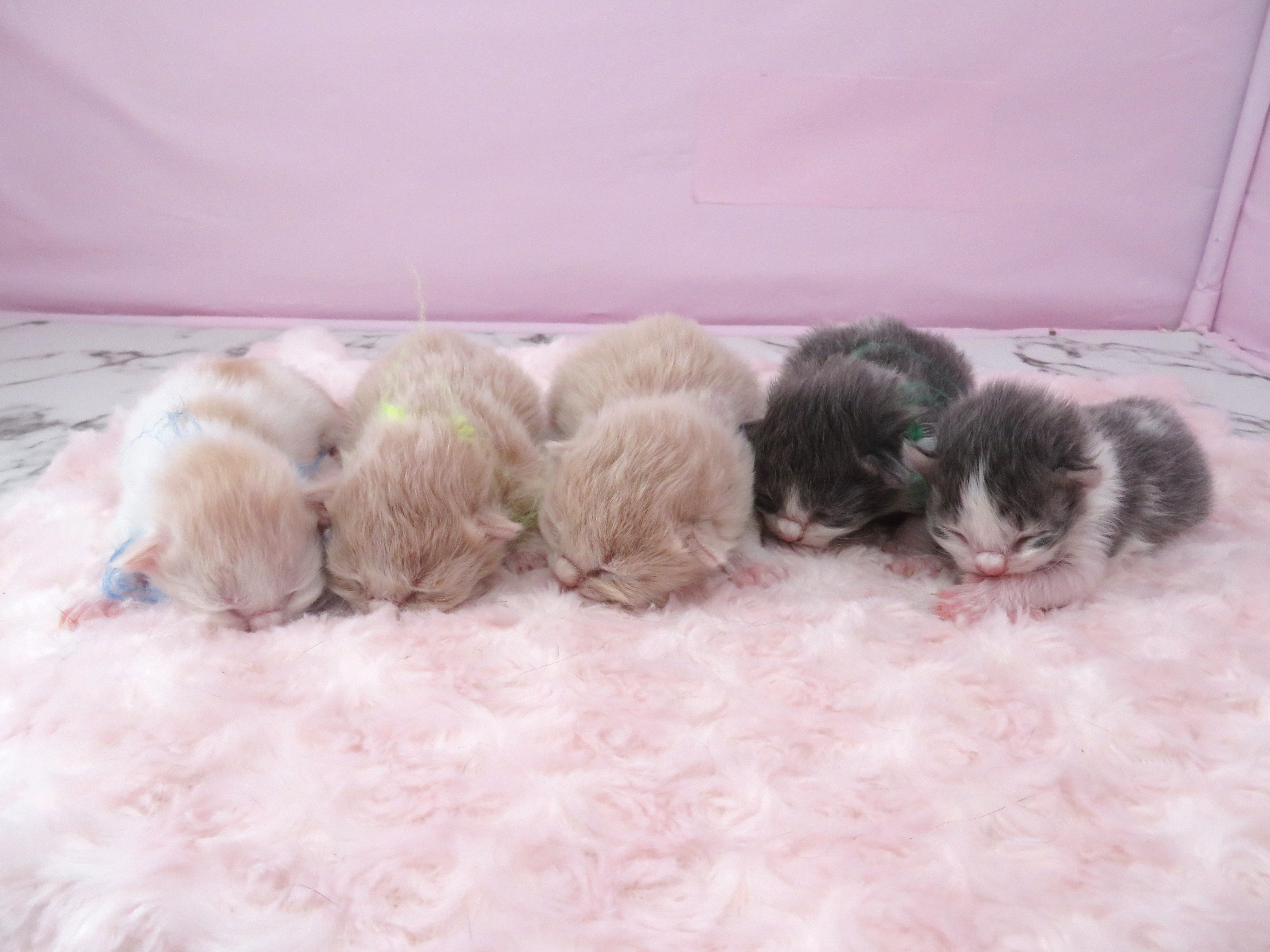 赤ちゃん写真1-3