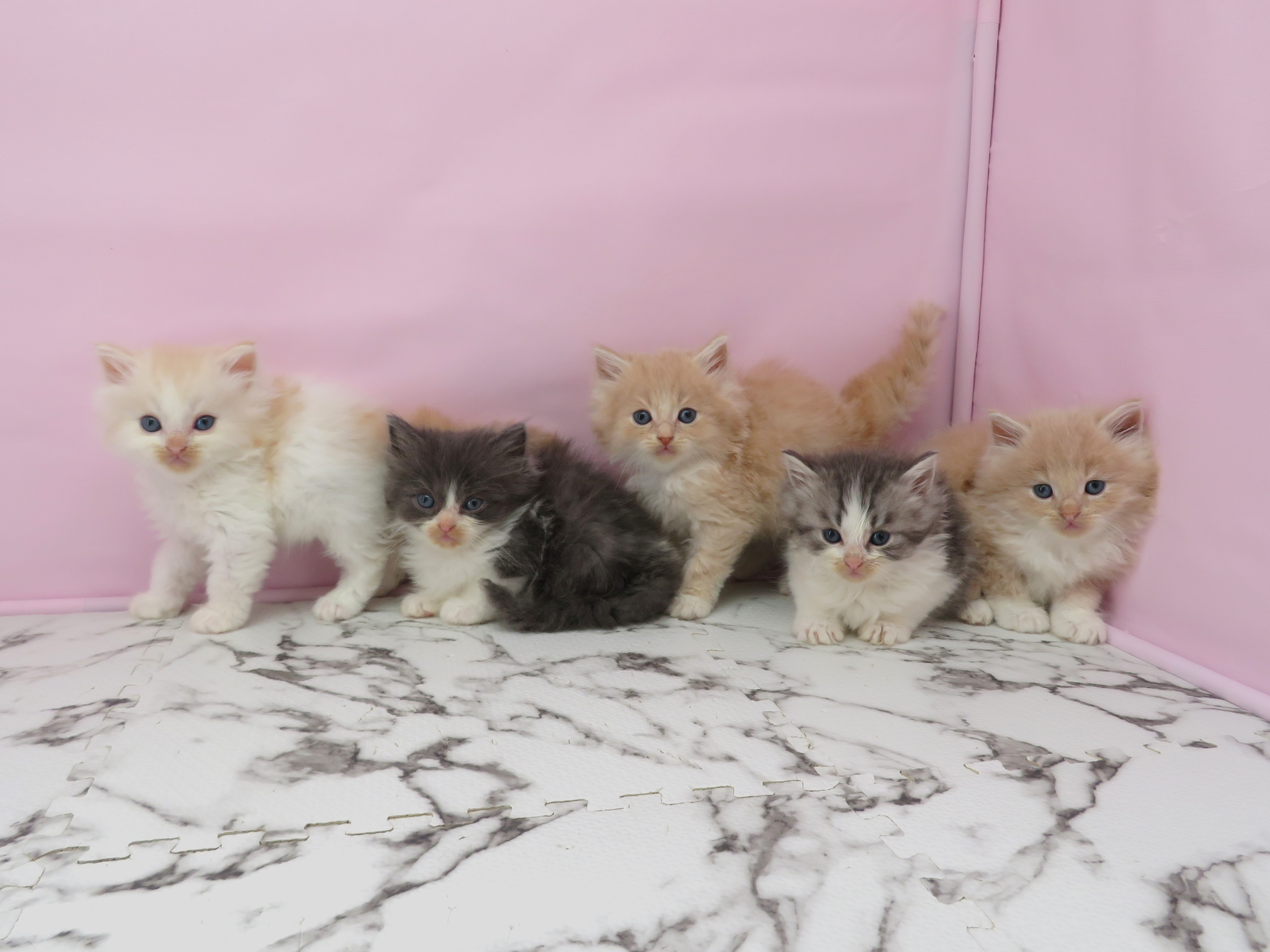赤ちゃん写真2-3