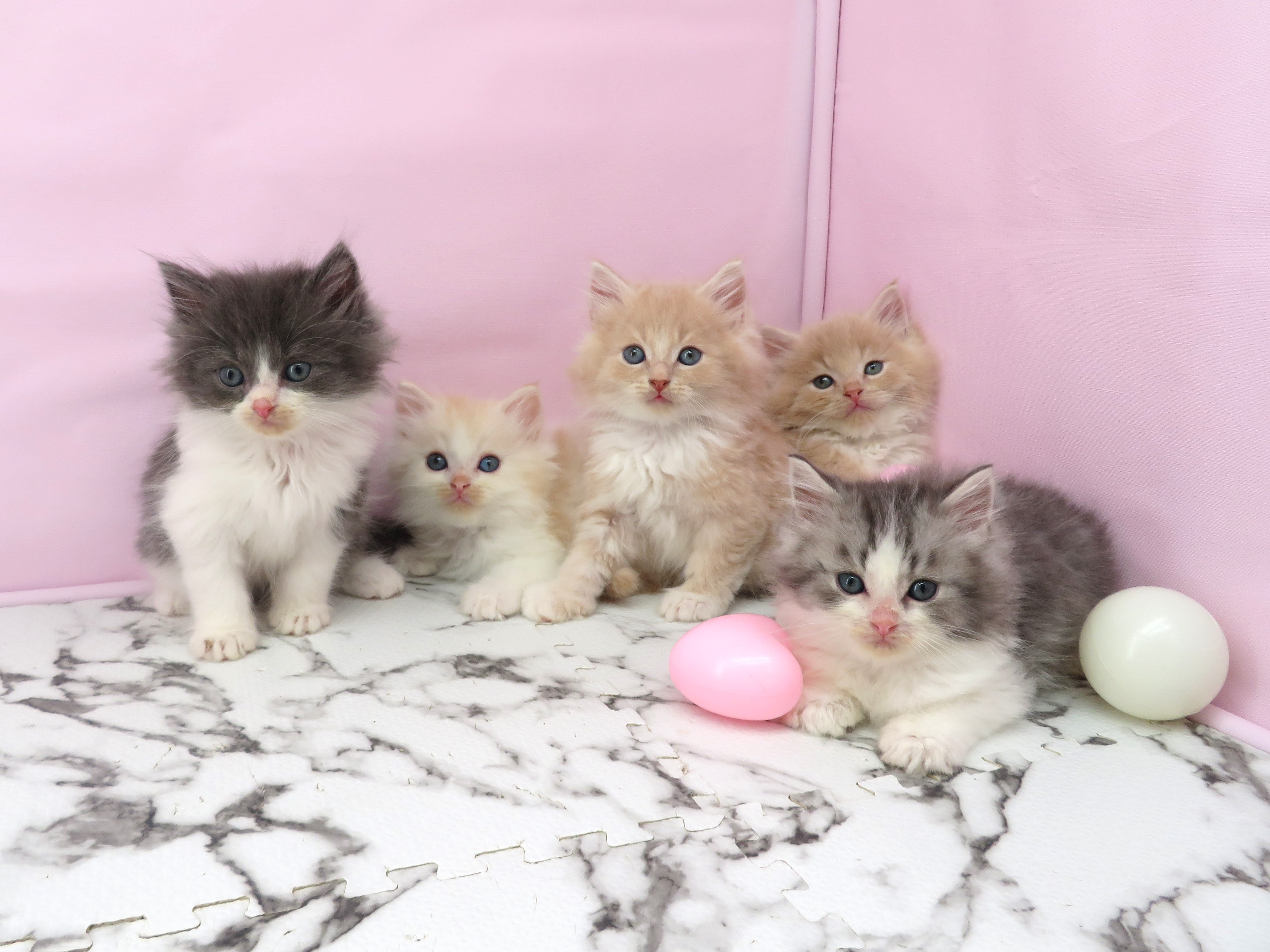 赤ちゃん写真3-3