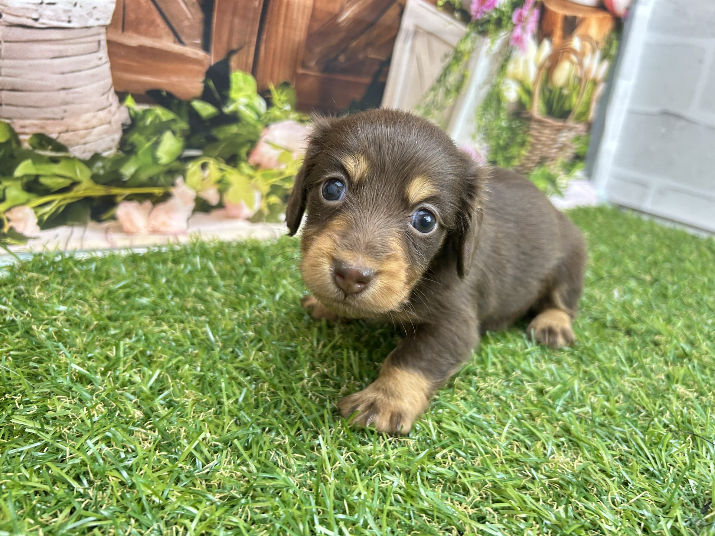 赤ちゃん写真2-2