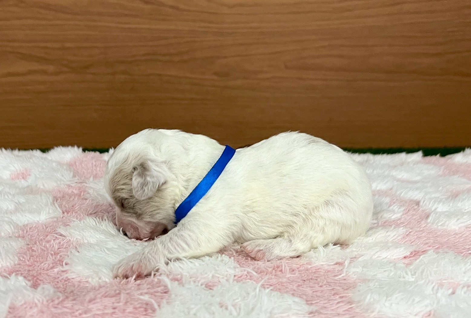 赤ちゃん写真1-2