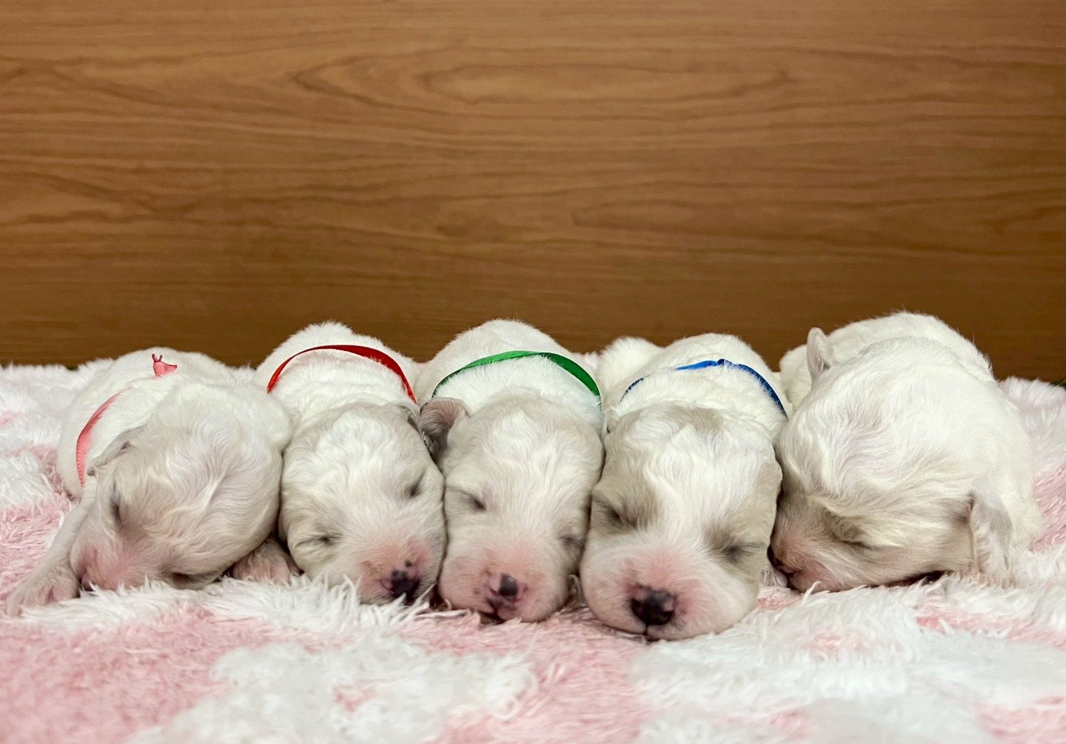 赤ちゃん写真1-3