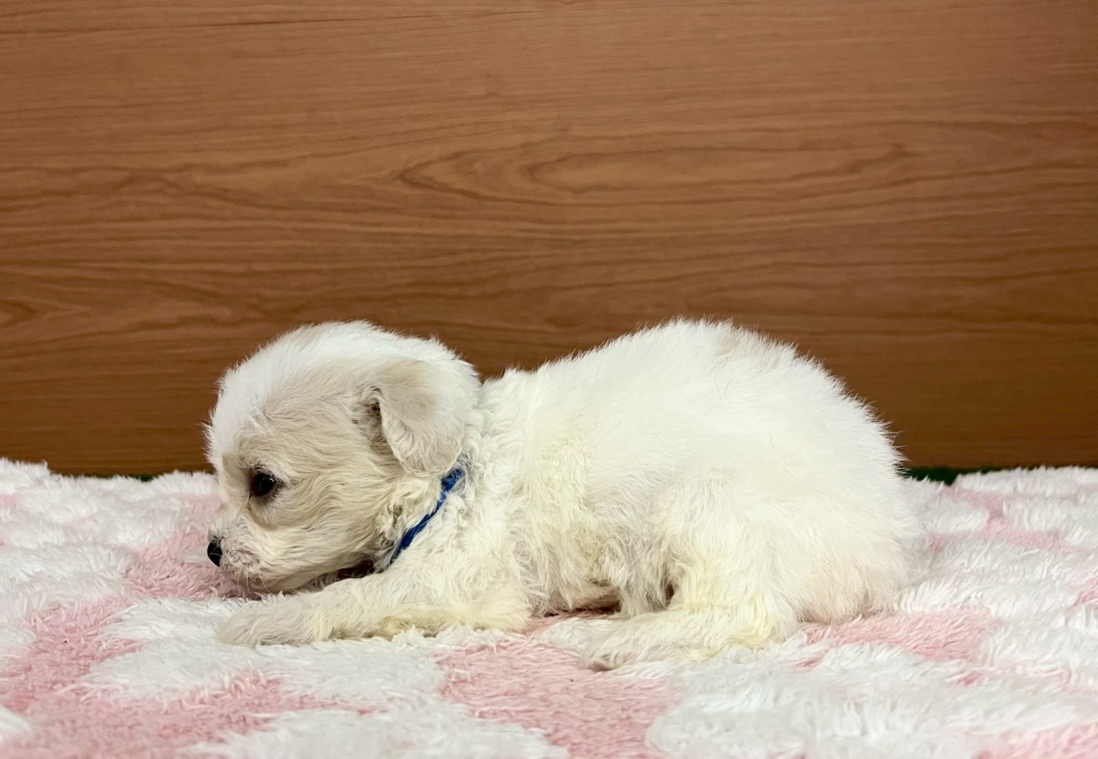 赤ちゃん写真2-2