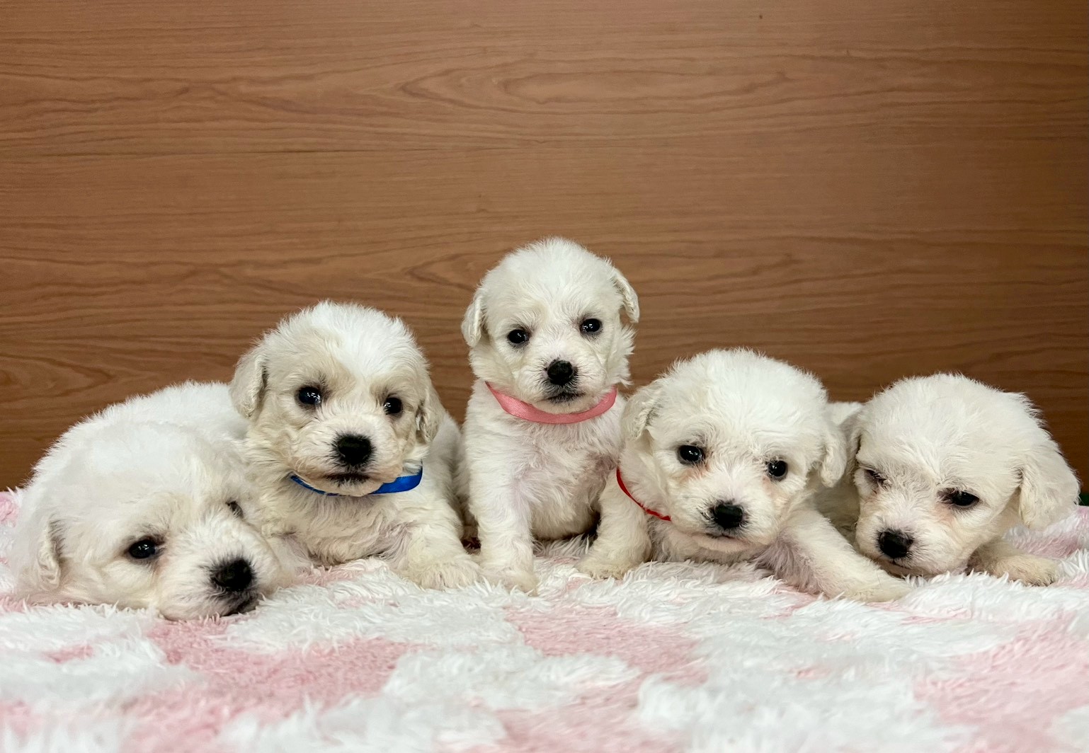 赤ちゃん写真2-3