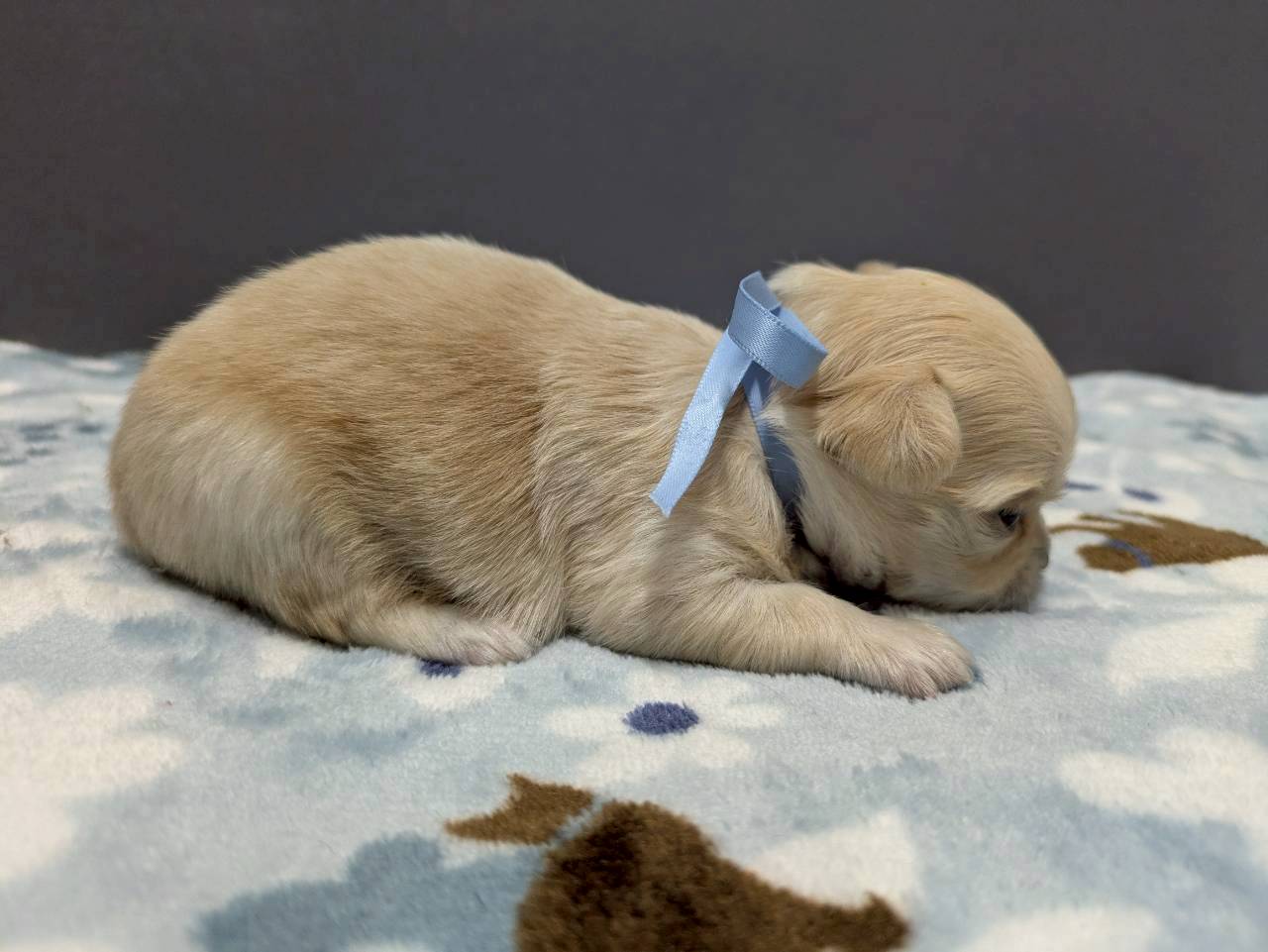 赤ちゃん写真2-2