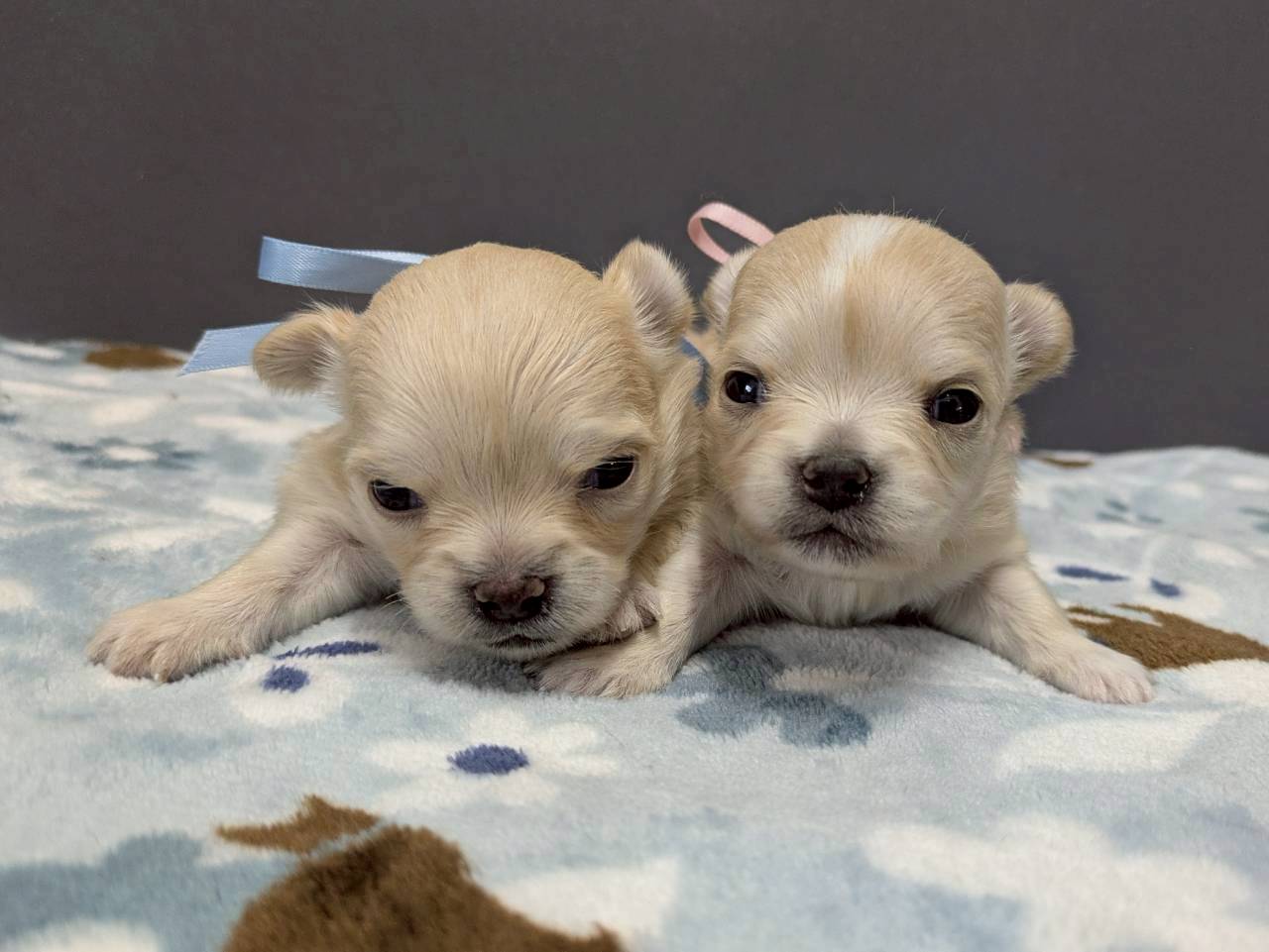 赤ちゃん写真2-3