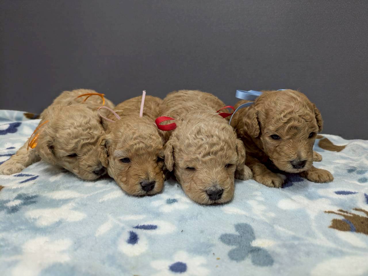 赤ちゃん写真2-3