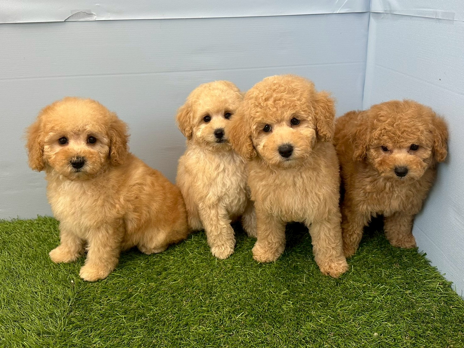赤ちゃん写真3-3