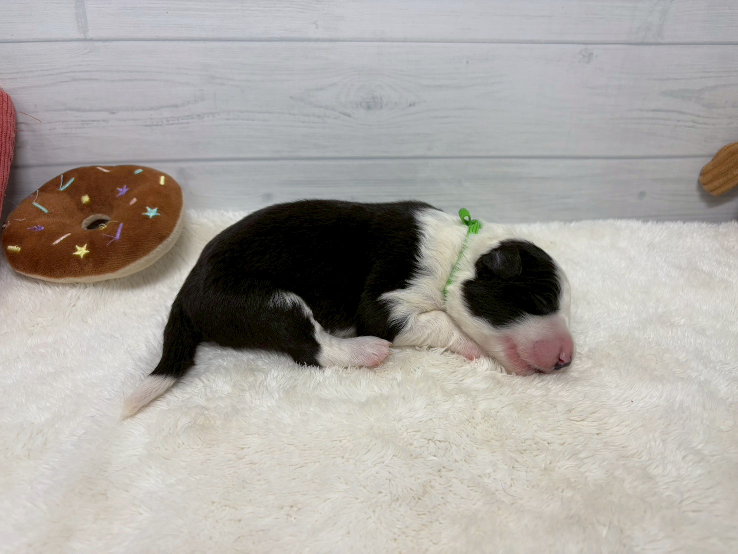 赤ちゃん写真1-2