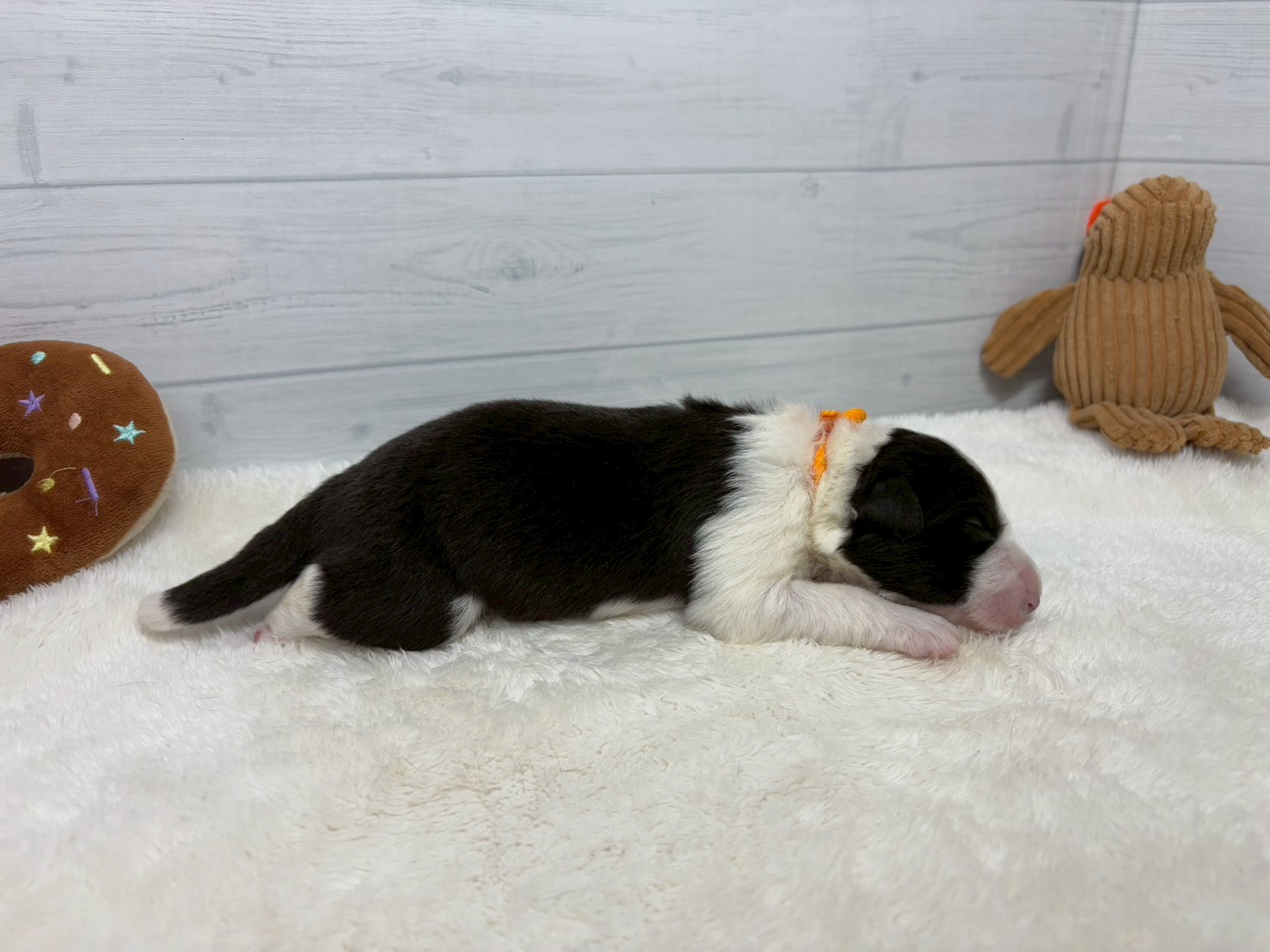 赤ちゃん写真1-2