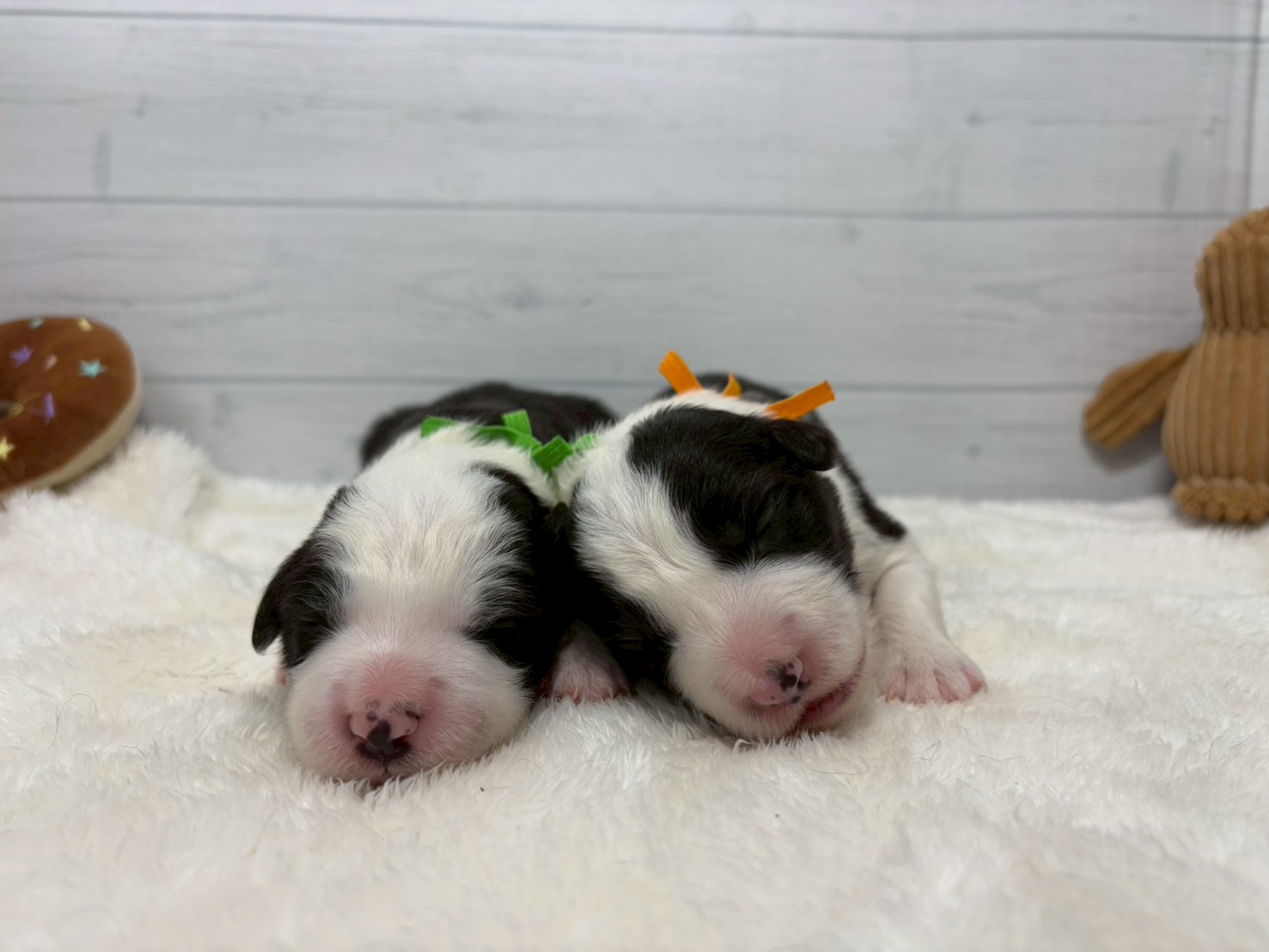 赤ちゃん写真1-3