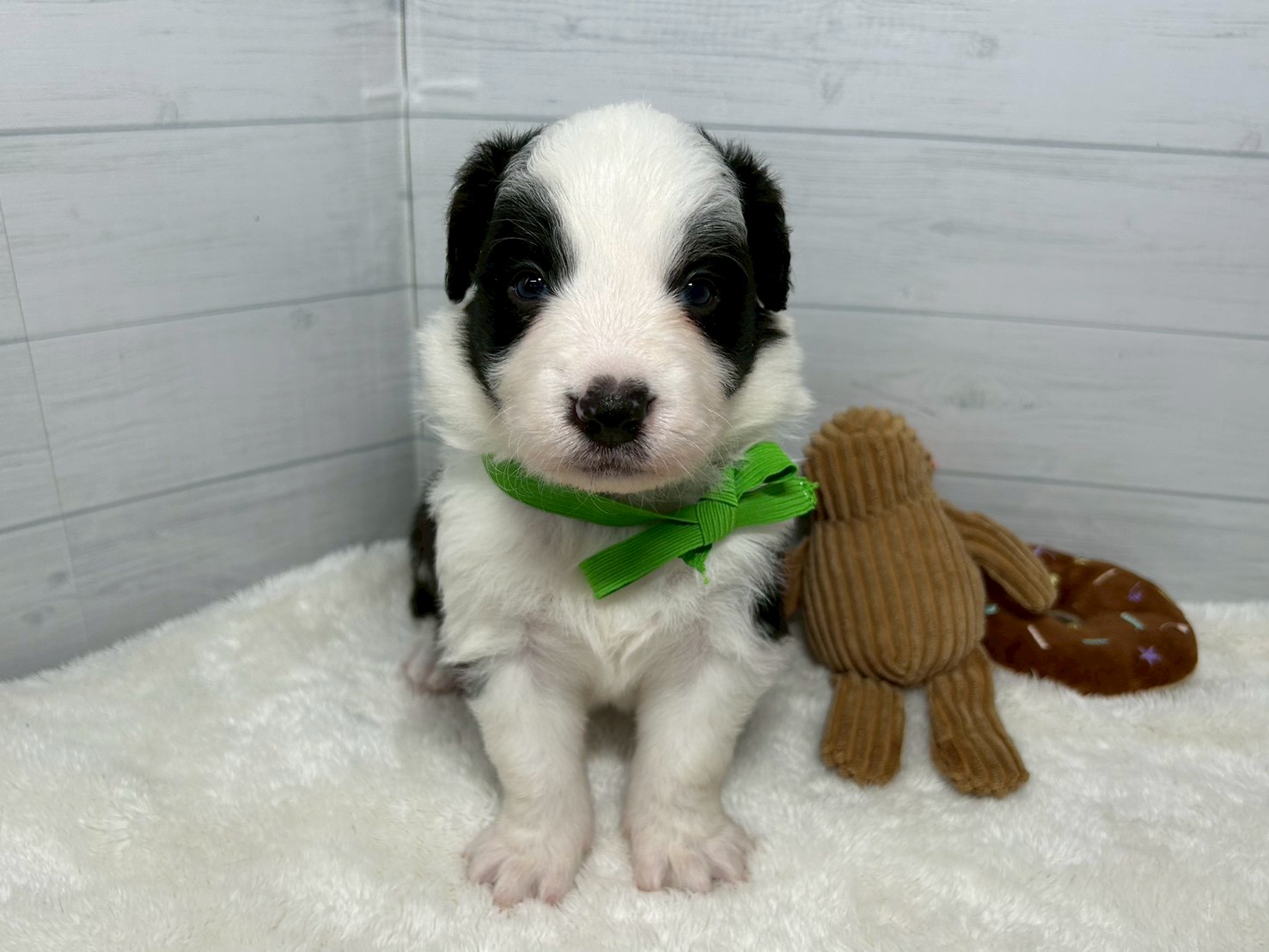 赤ちゃん写真2-1